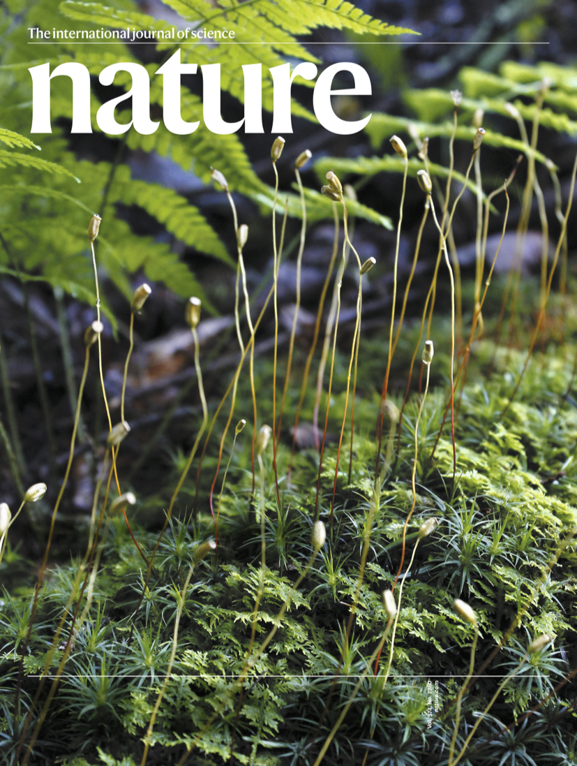 Nature 期刊封面