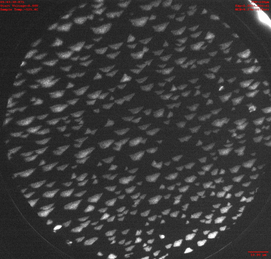 Oxygen intercalation under hexagonal boron nitride (h-BN) on Pt(111) |  Science Bulletin, image size:1088x1040