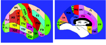 Supplementary Figure 3