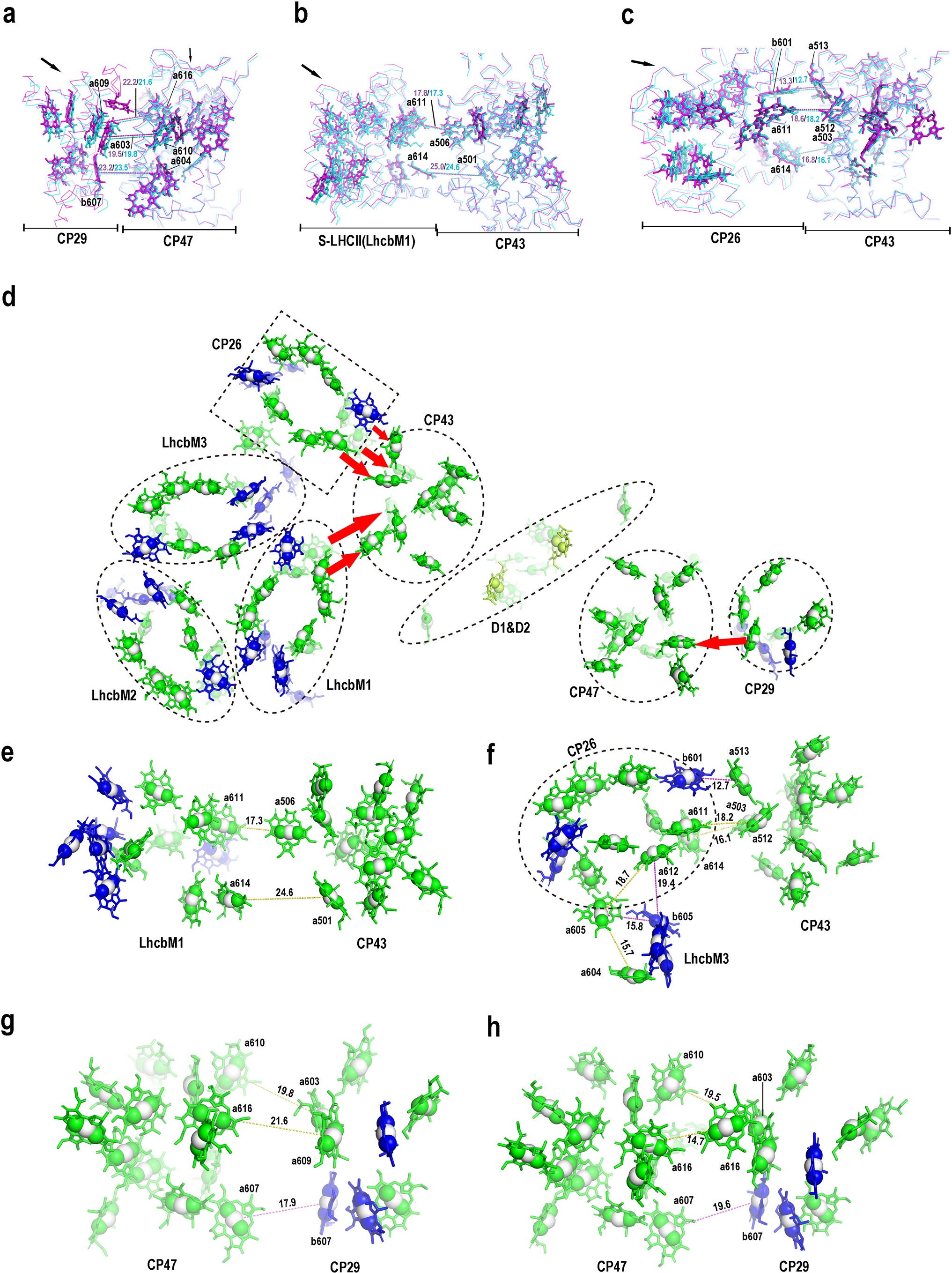 Extended Data Fig. 5
