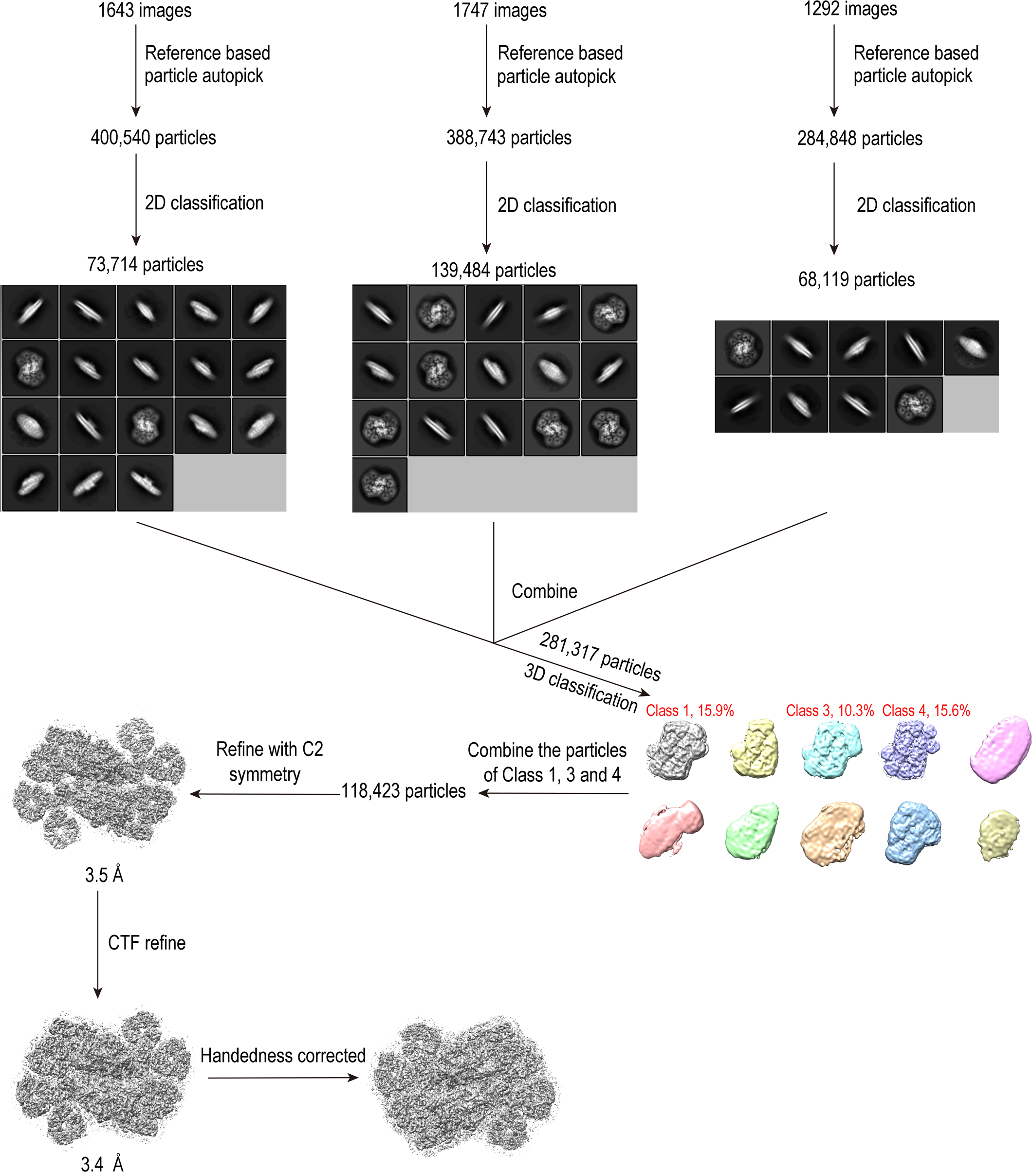 Extended Data Fig. 1