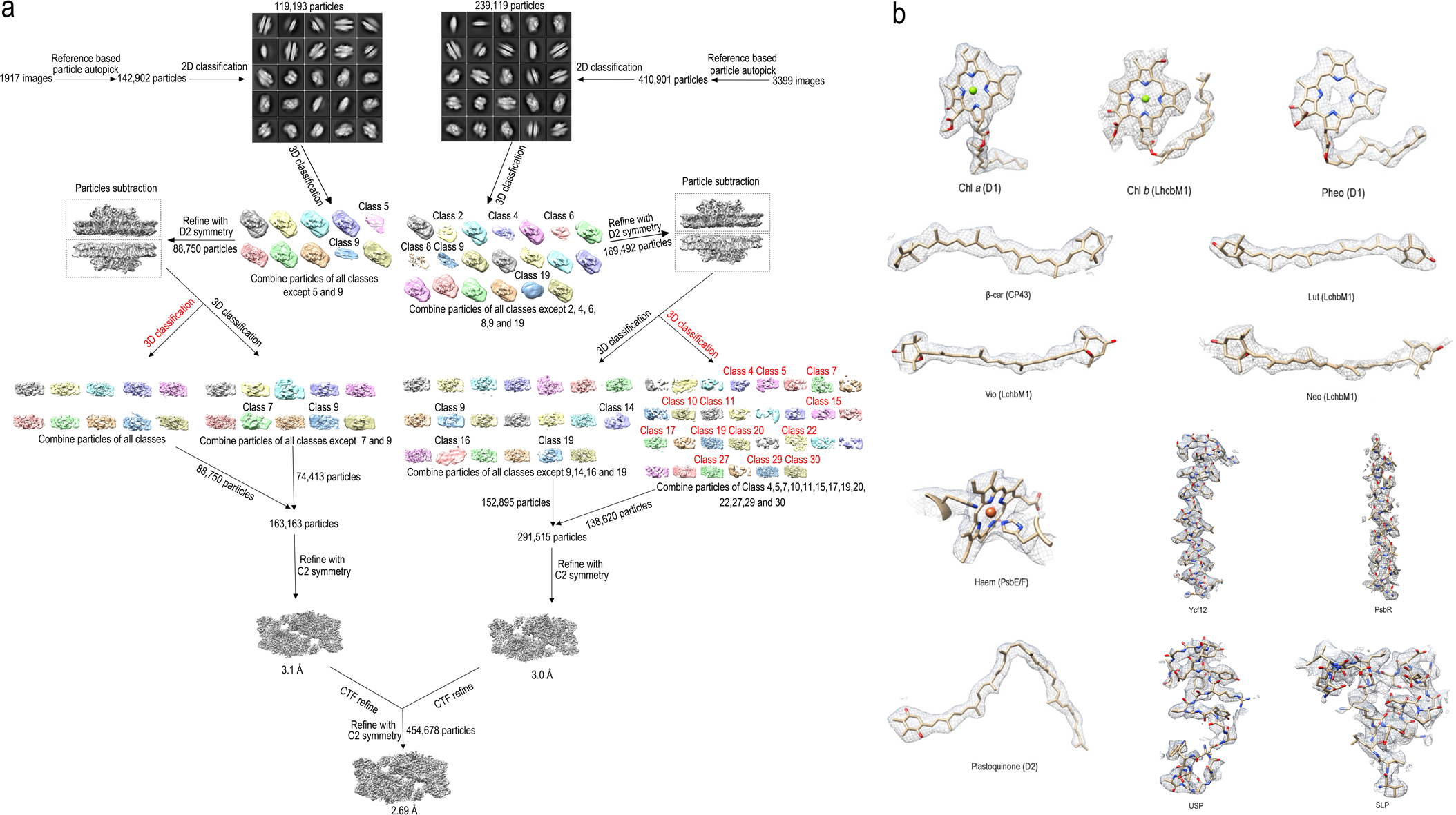 Extended Data Fig. 2