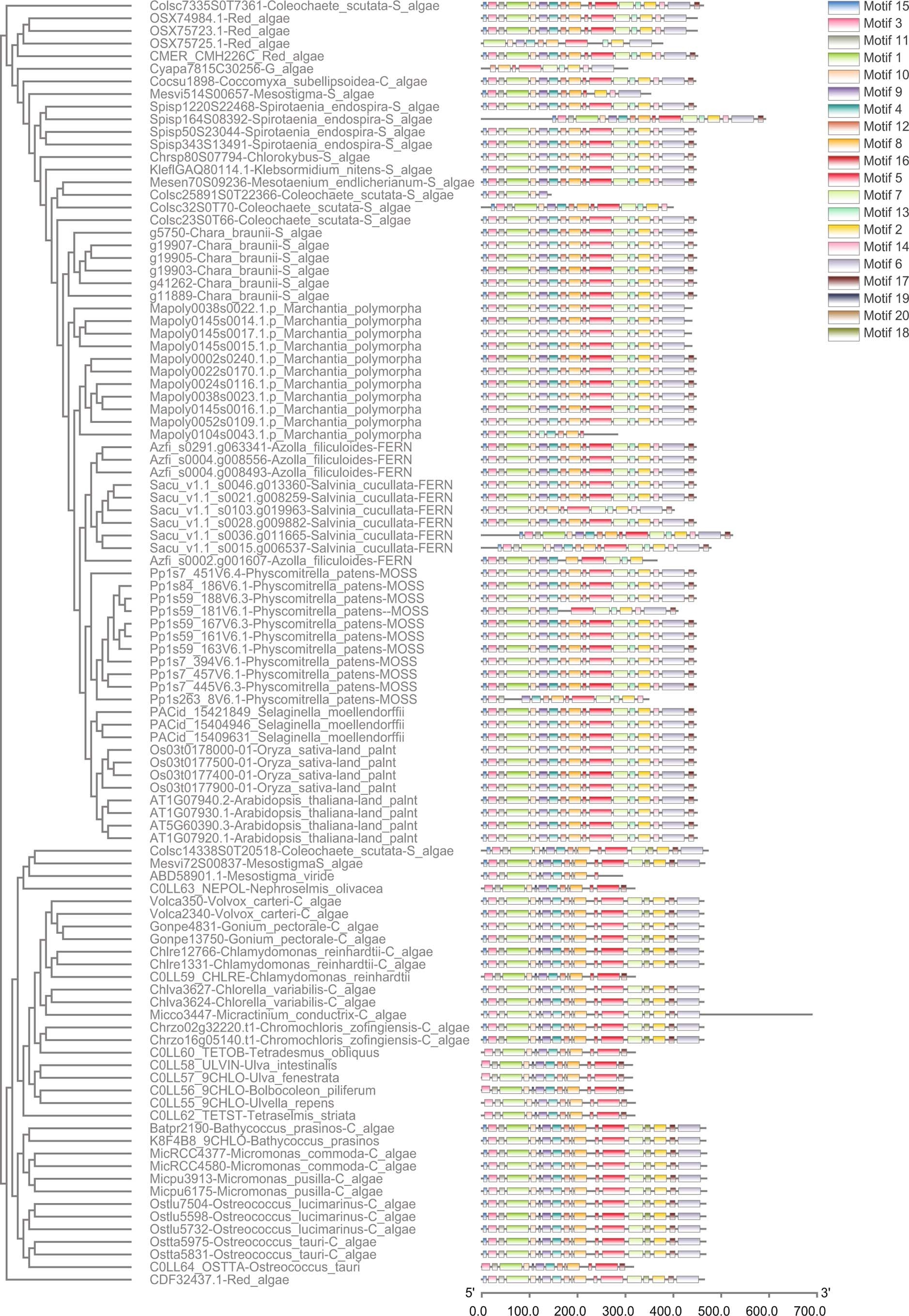 Extended Data Fig. 4
