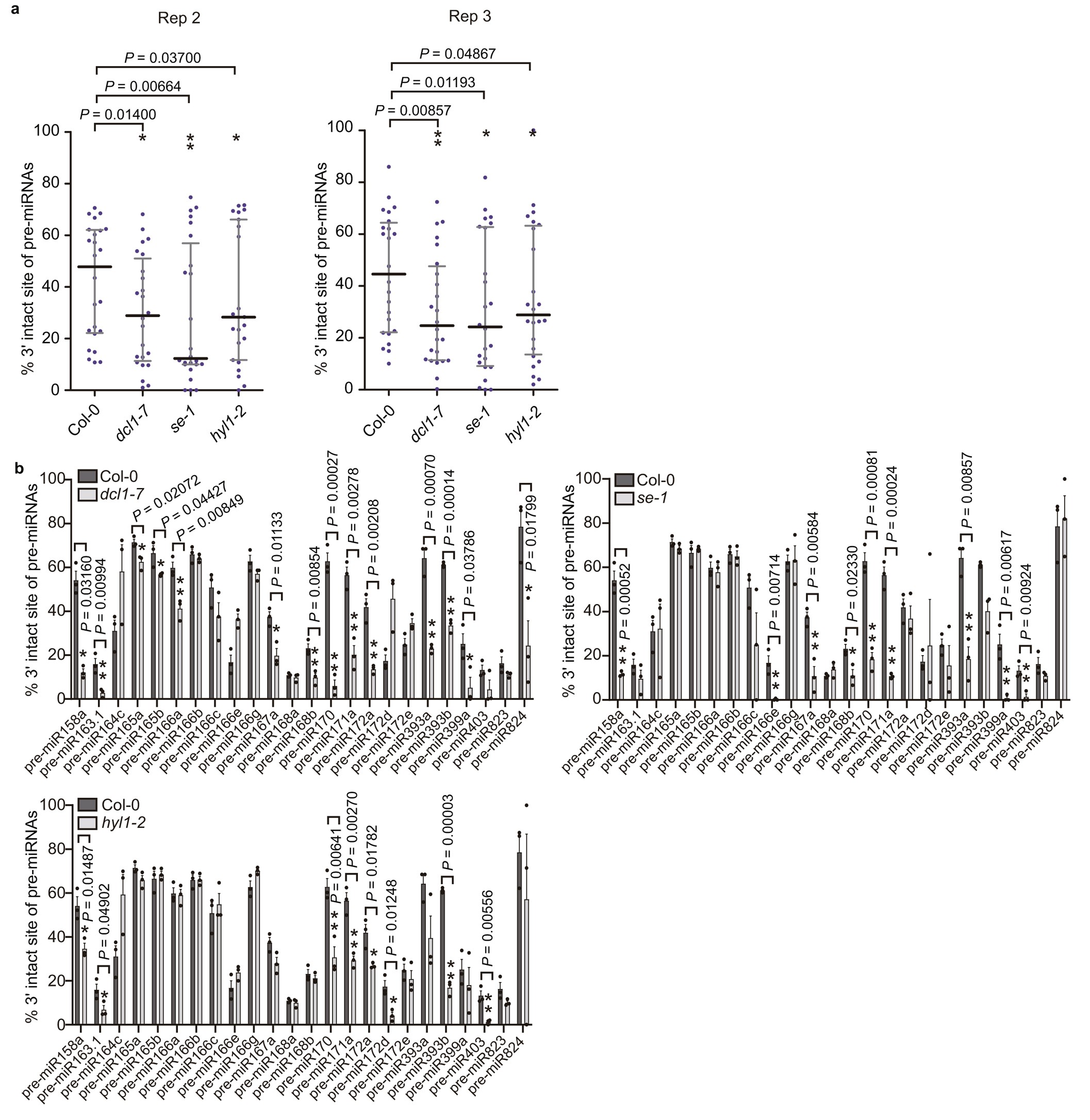 Extended Data Fig. 1: DCL1, HYL1 and SE promote the precise generation of pre-miRNA 3’ ends.