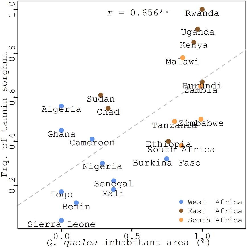 Extended Data Fig. 7: Correlation between the proportion of areas inhabited by the red-billed quelea and the proportion of tannin sorghum accessions collected from each country.