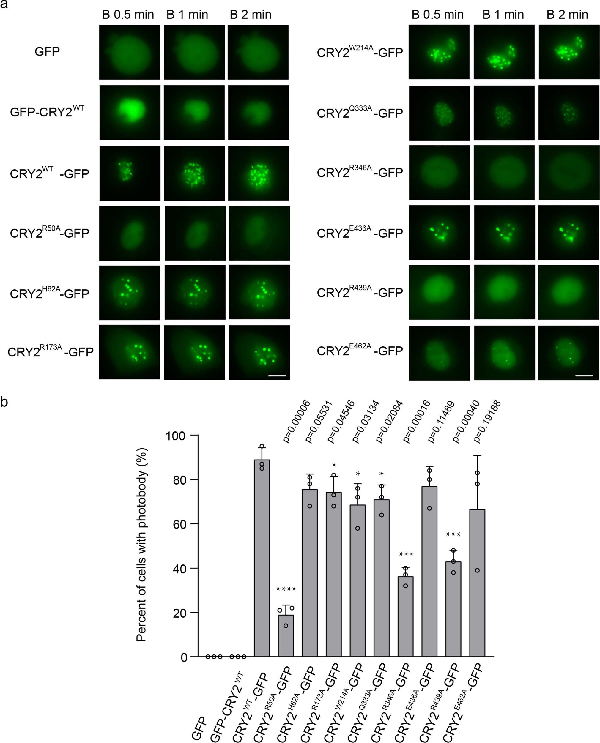 Extended Data Fig. 7