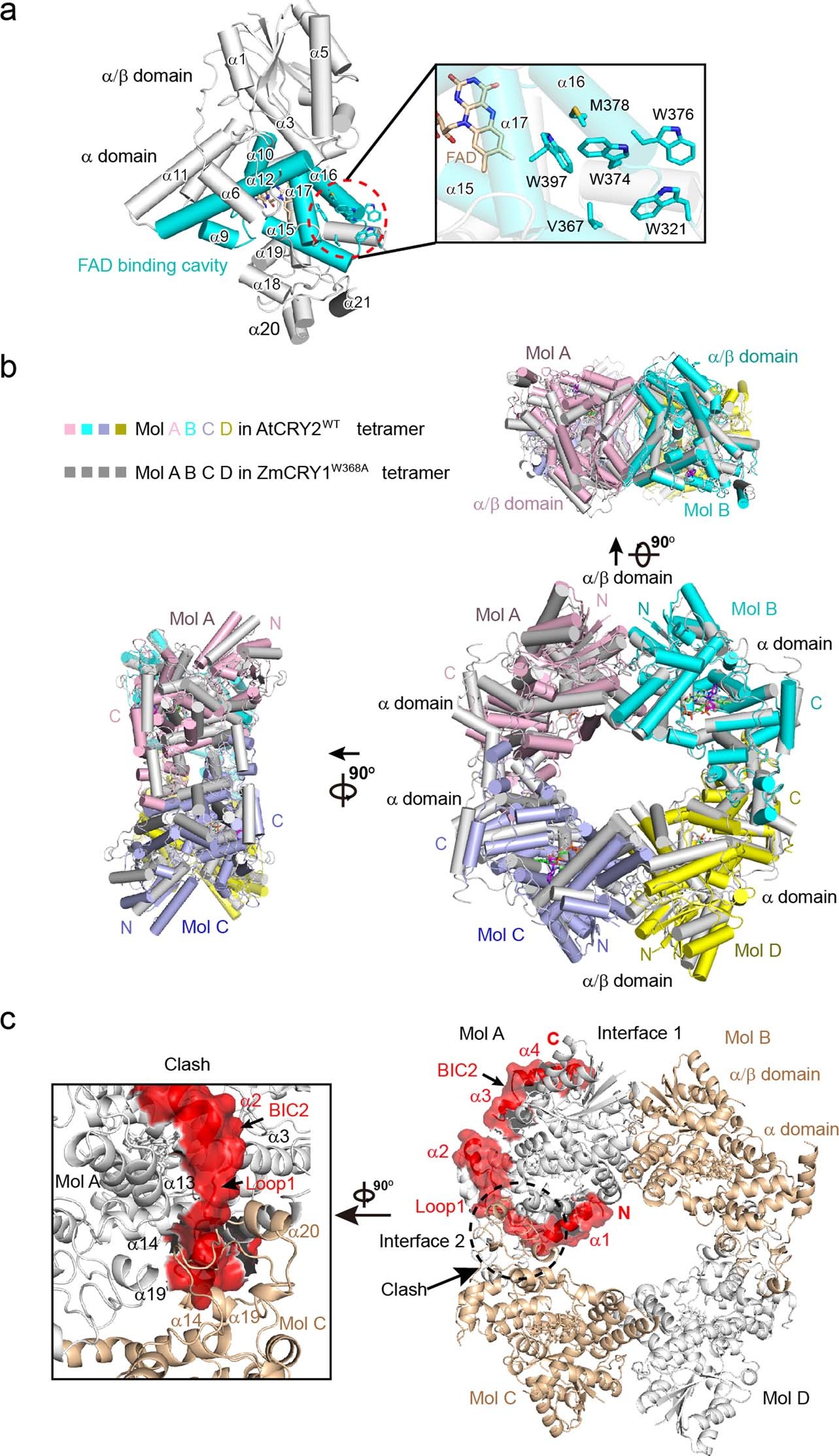 Extended Data Fig. 10