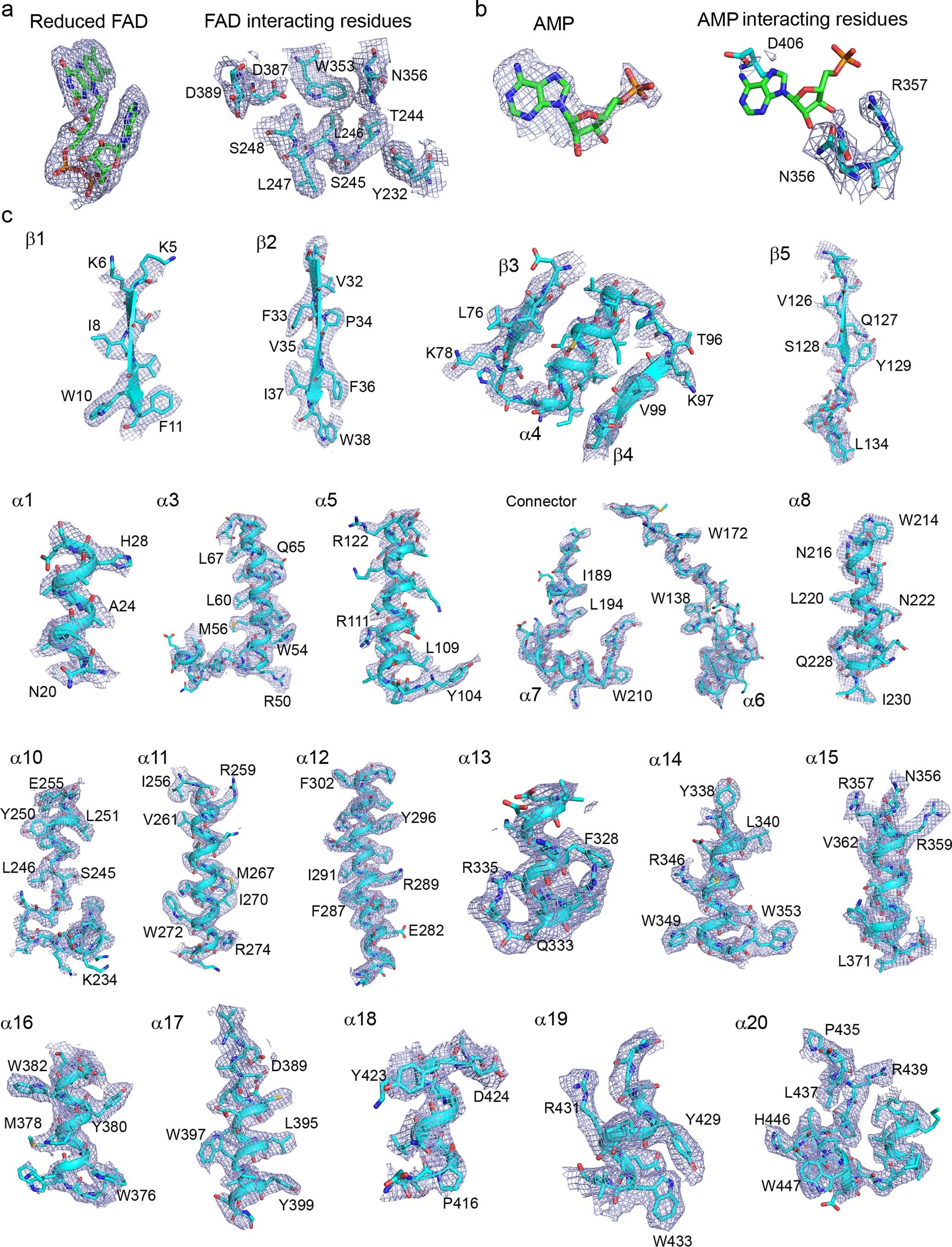 Extended Data Fig. 3