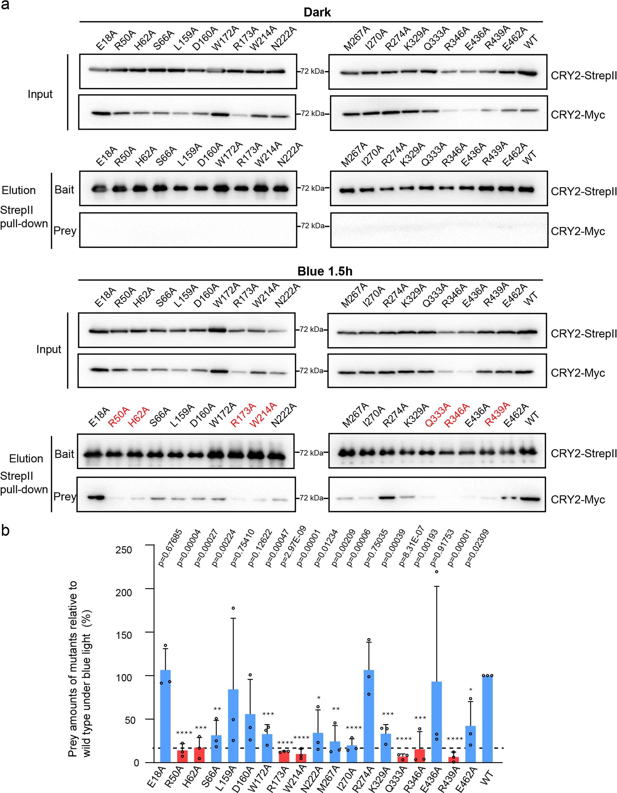 Extended Data Fig. 6