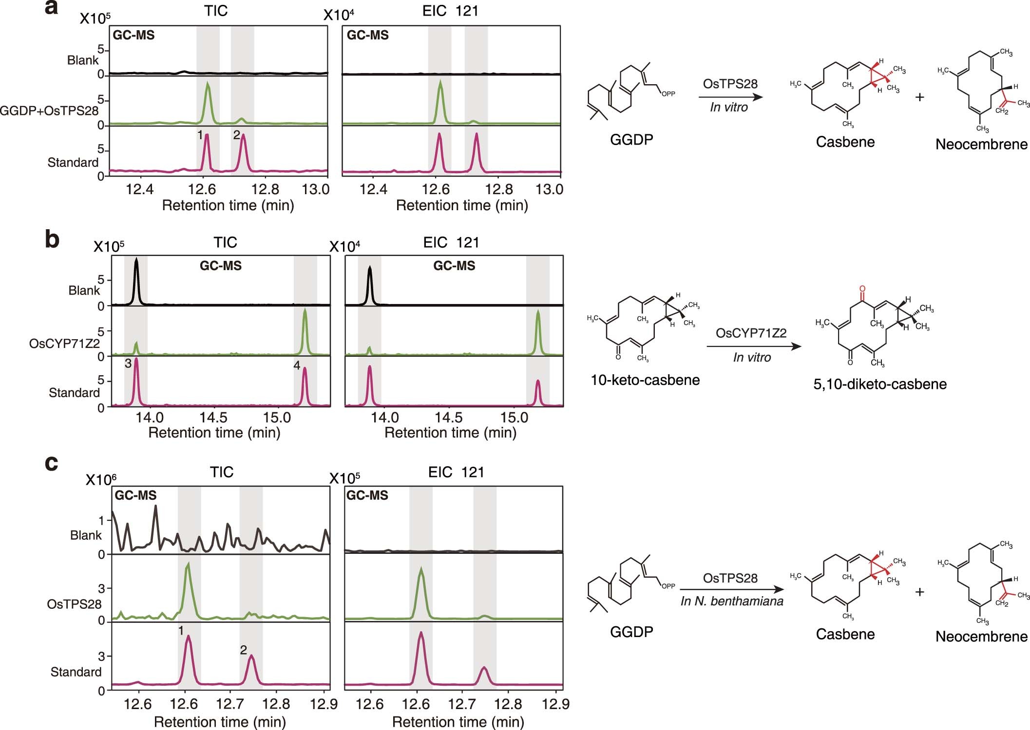 Extended Data Fig. 2