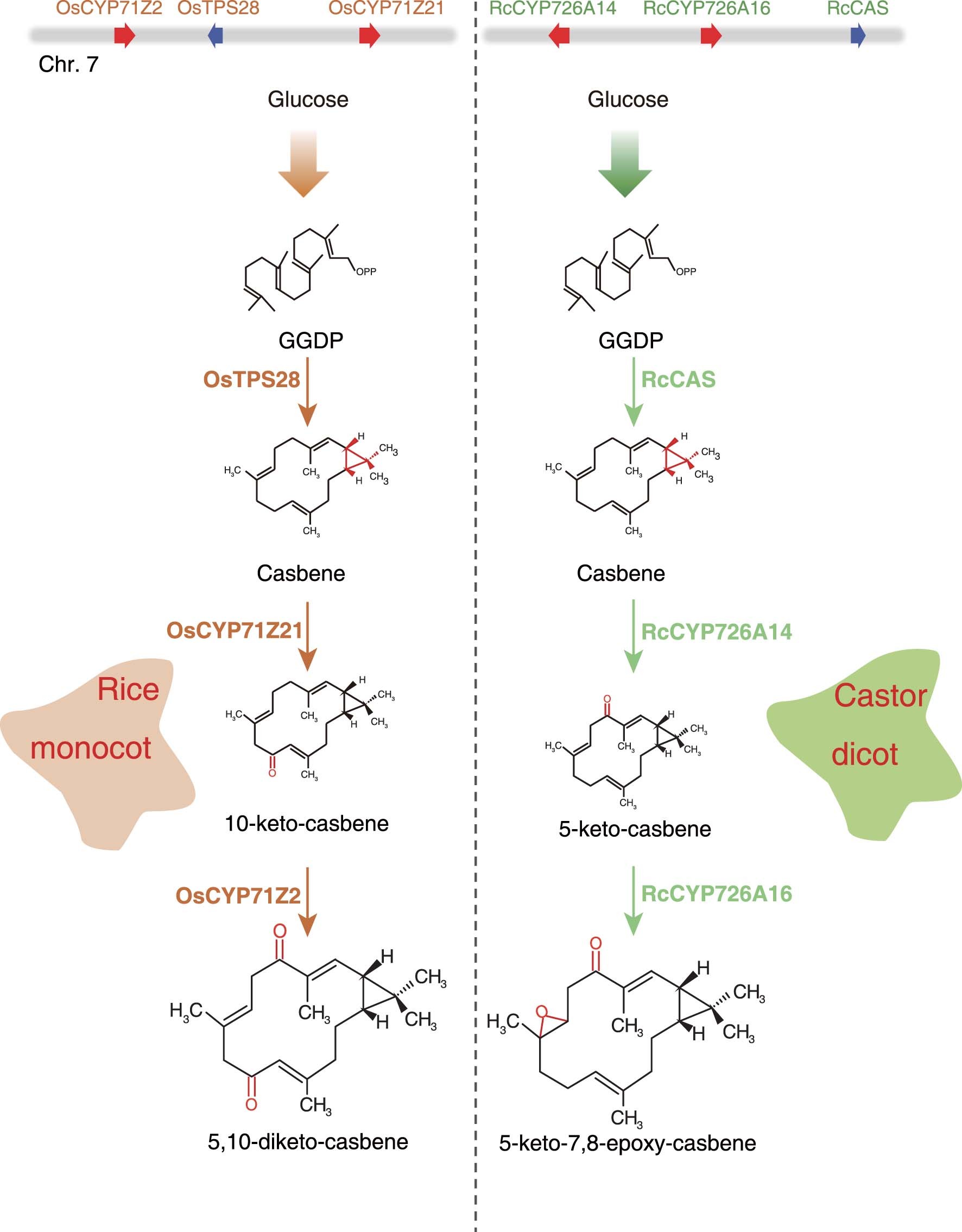 Extended Data Fig. 5