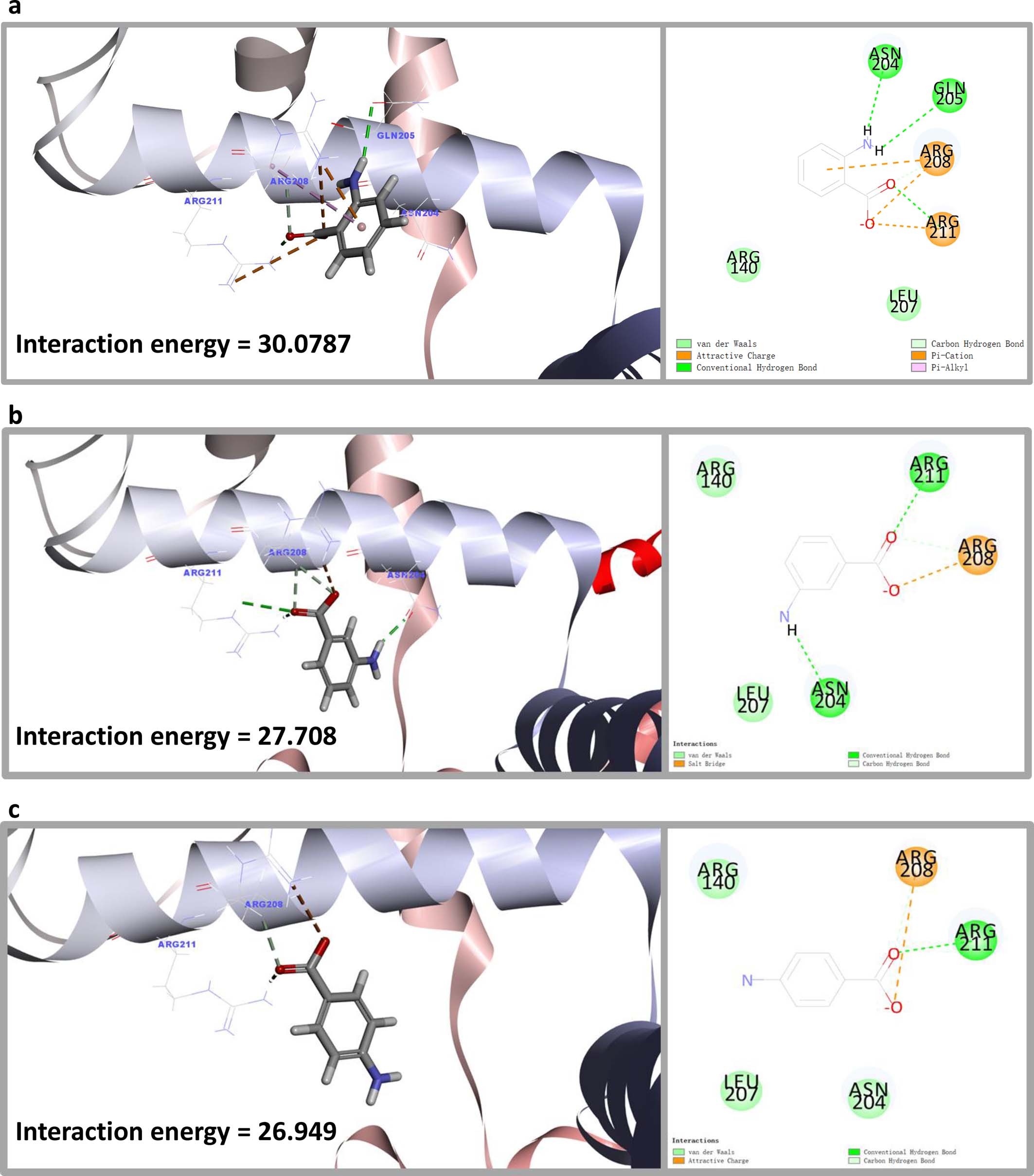 Extended Data Fig. 3: Modelling of potential interactions of RpoS with different anthranilic acid (AA) isomers.