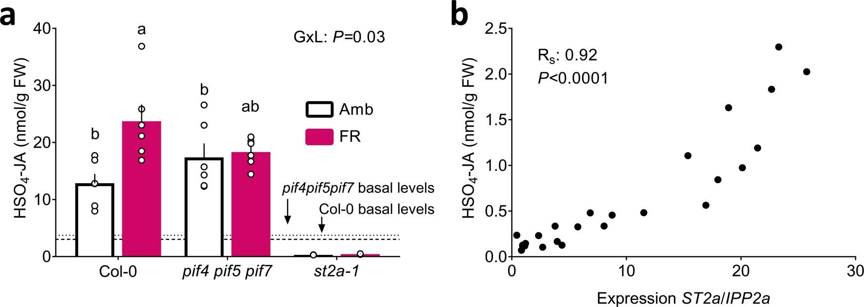 Extended Data Fig. 5: The accumulation of HSO4-JA is determined by the expression of ST2a.