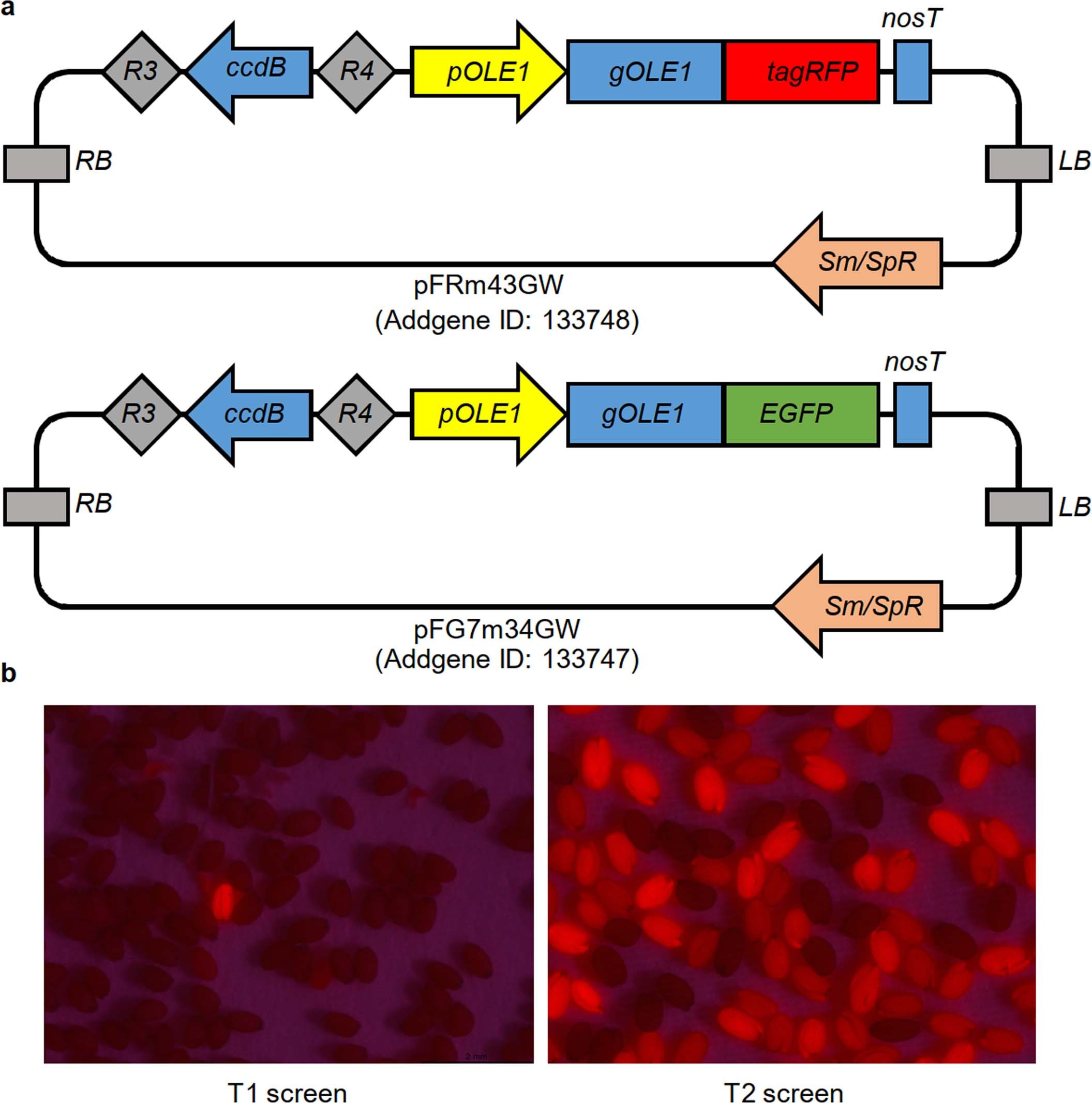 Extended Data Fig. 1