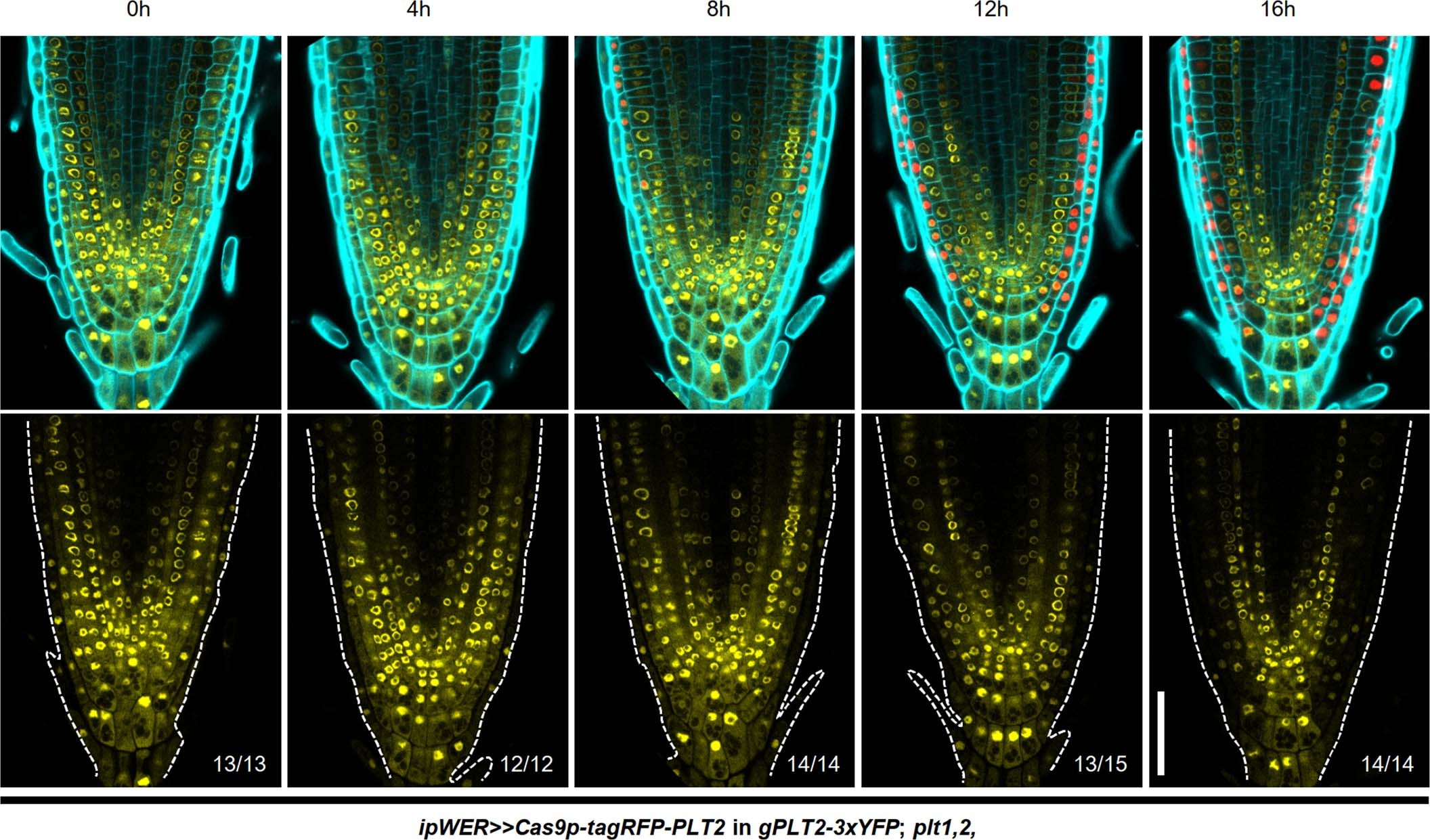 Extended Data Fig. 2