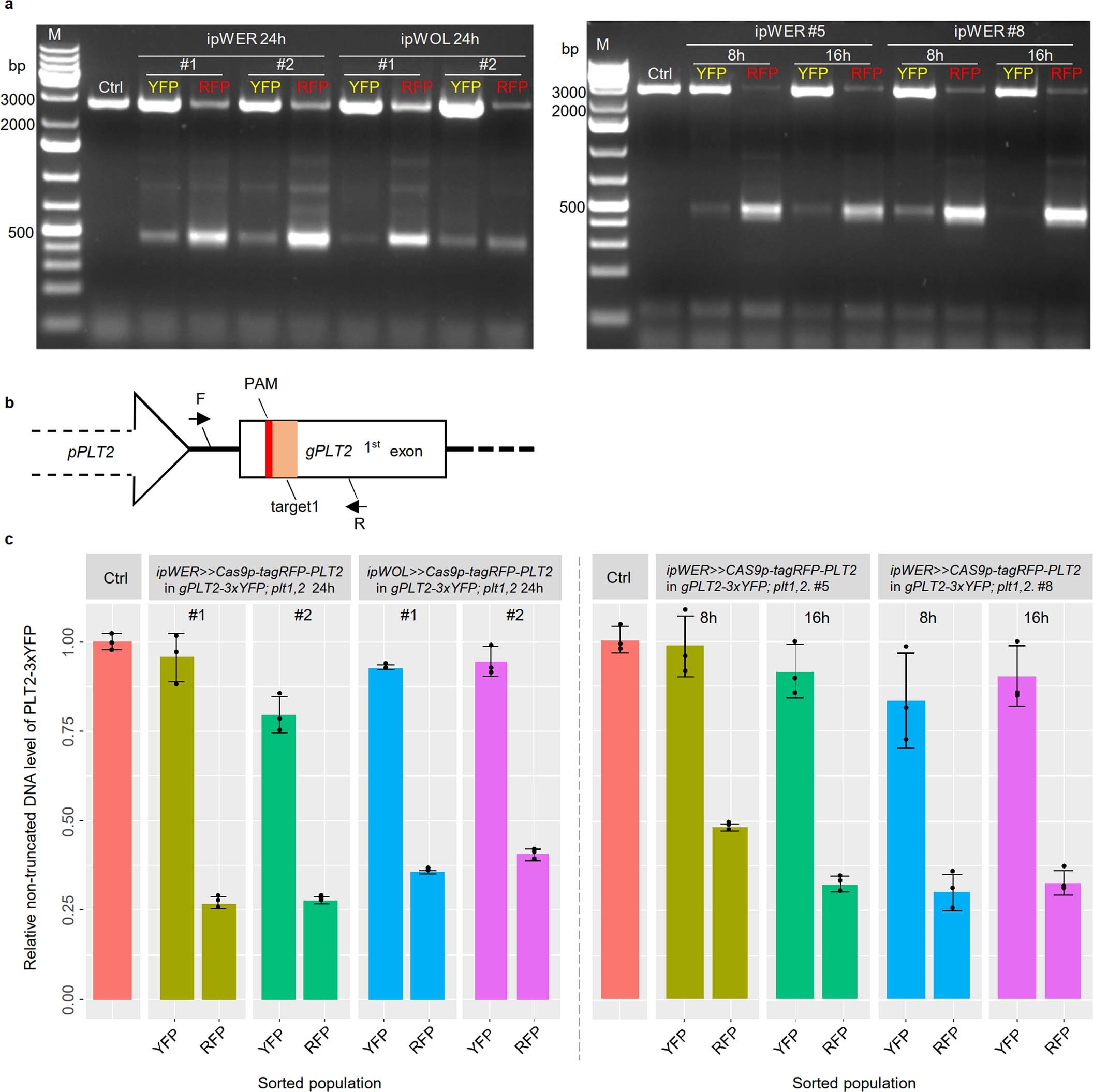 Extended Data Fig. 3