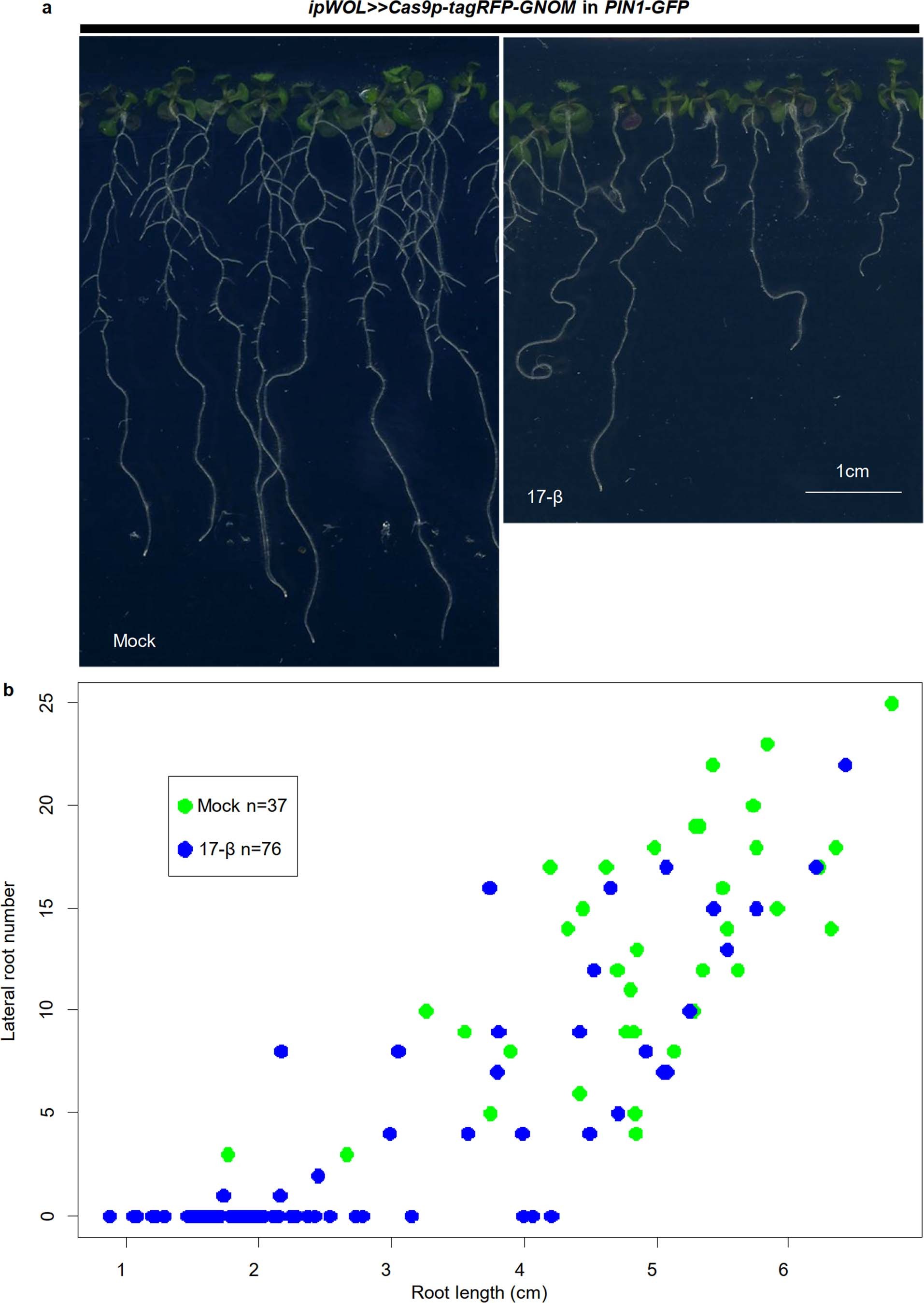 Extended Data Fig. 6