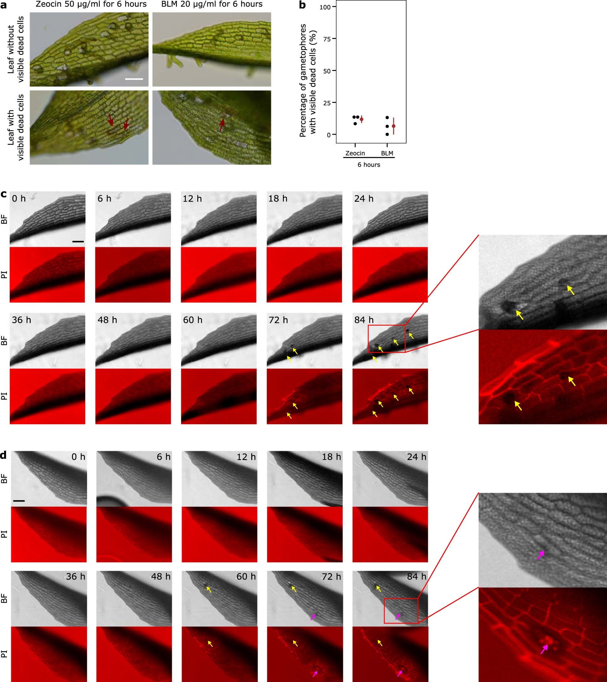 Extended Data Fig. 4