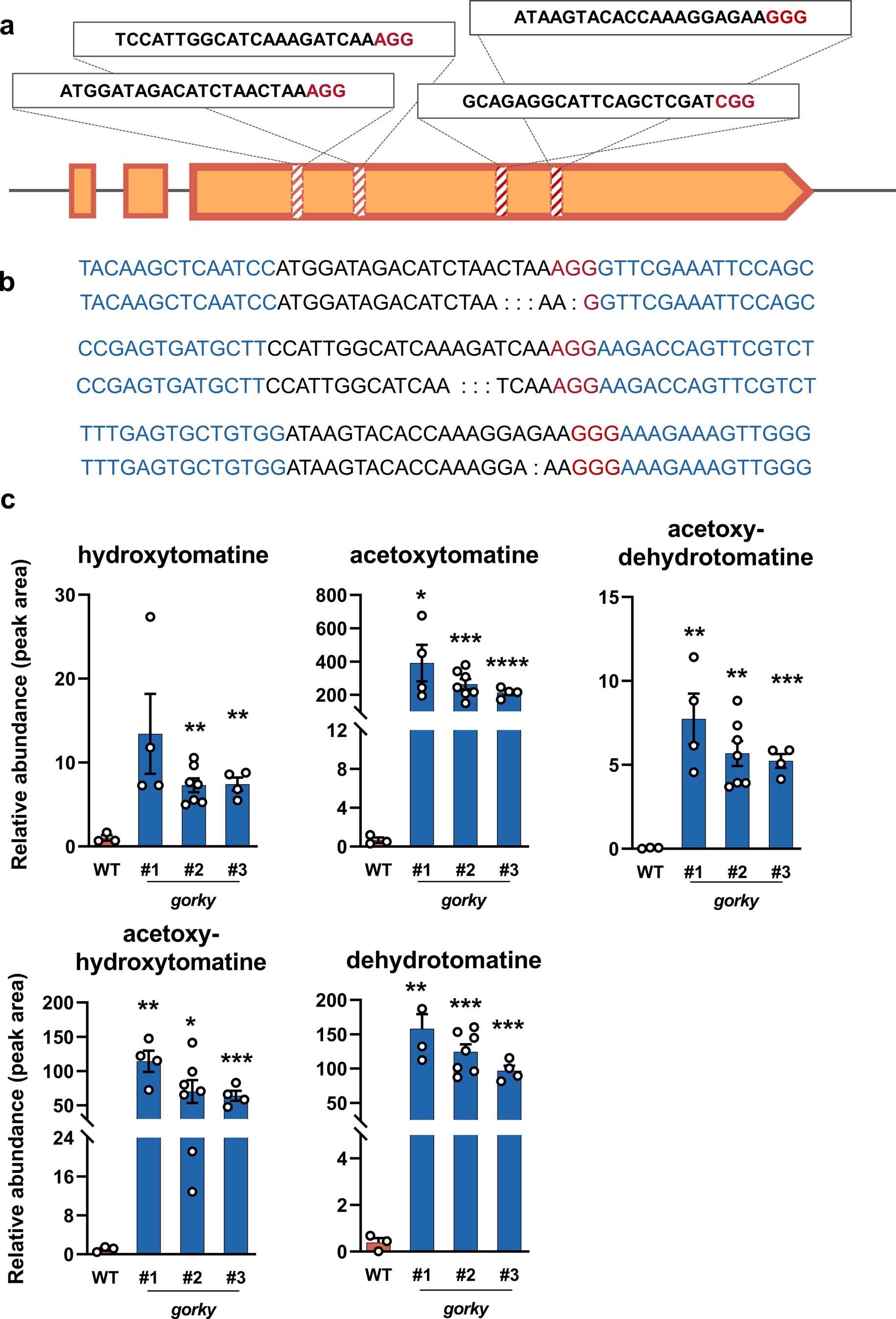 Extended Data Fig. 5: Knockout mutation in GORKY has a major impact on the SGA profile of ripe fruit.