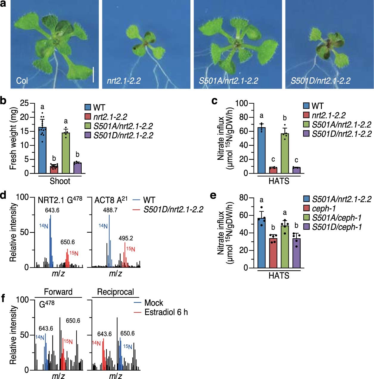 Extended Data Fig. 5