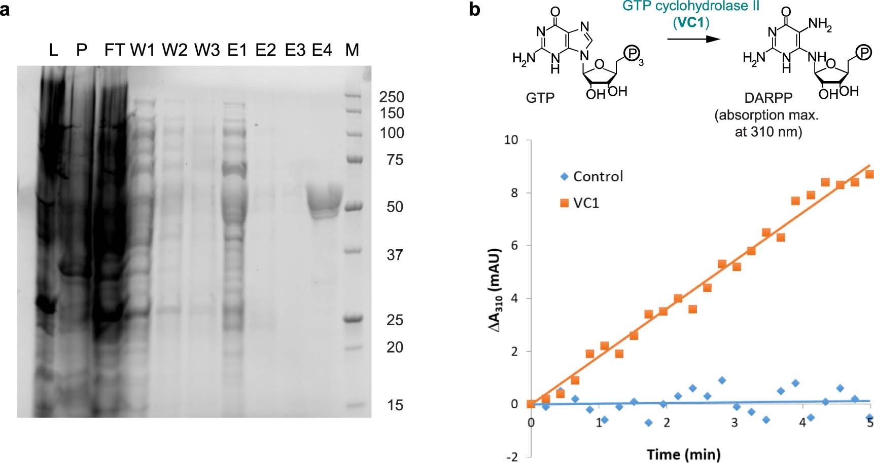 Extended Data Fig. 6