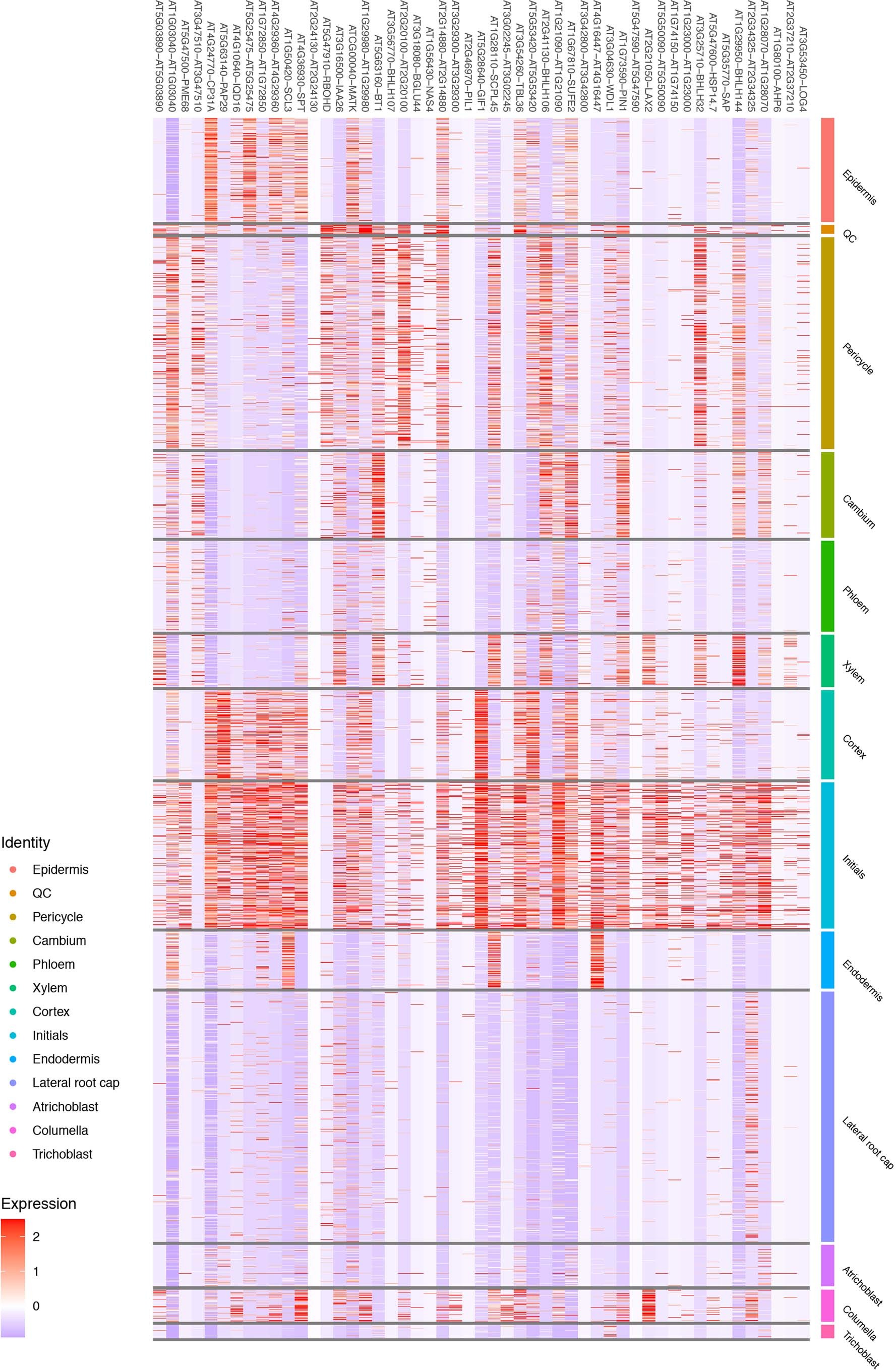 Extended Data Fig. 1