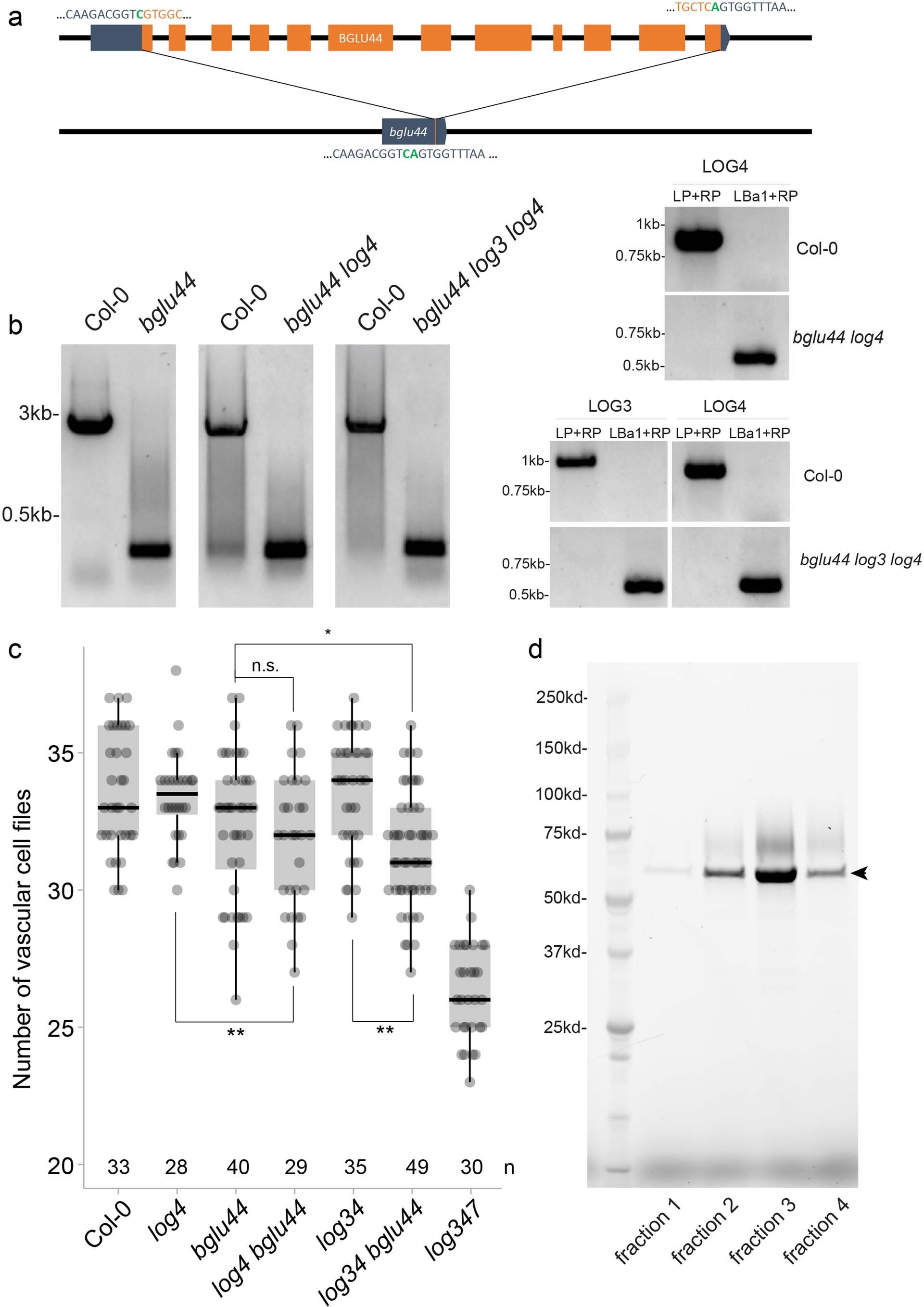 Extended Data Fig. 4