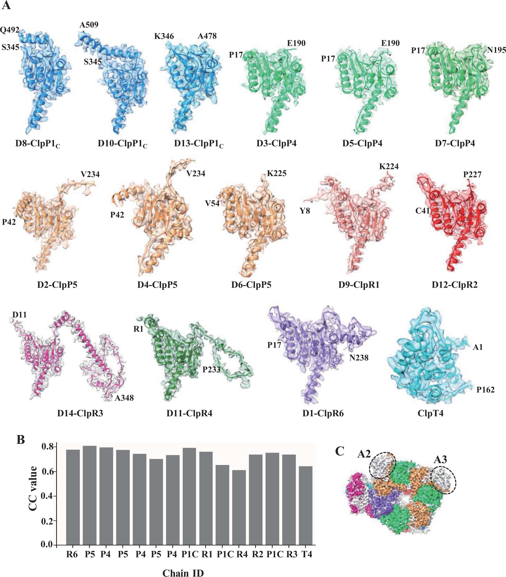 Extended Data Fig. 7: Model-to-map fitting.