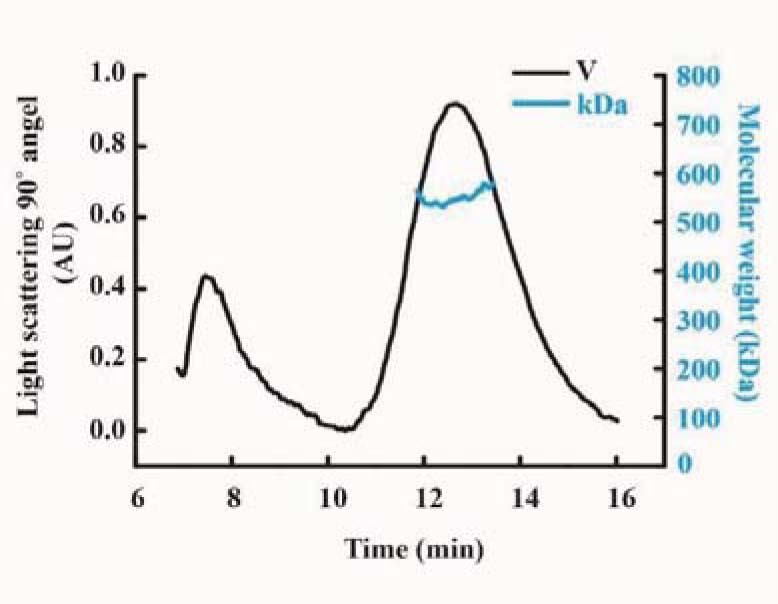 Extended Data Fig. 1: Analysis of the CrClpP complex and its interaction with co-chaperonins.