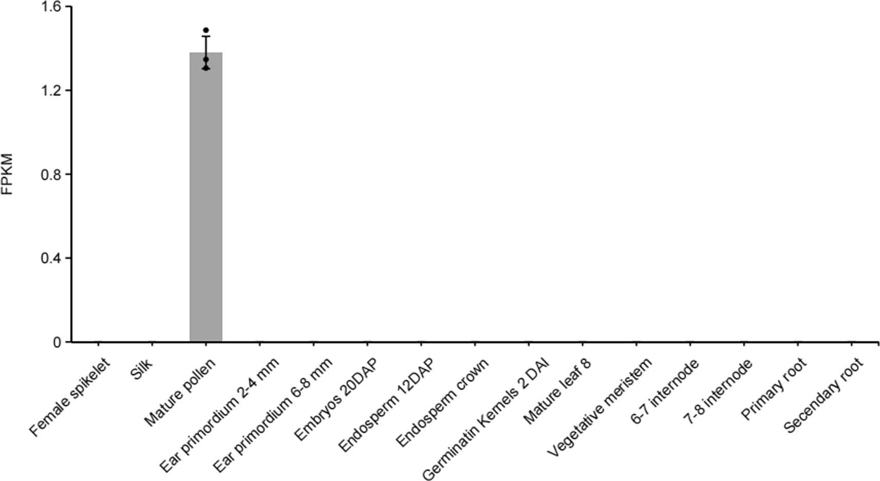Extended Data Fig. 1: Expression profiles of ZmPLD3.