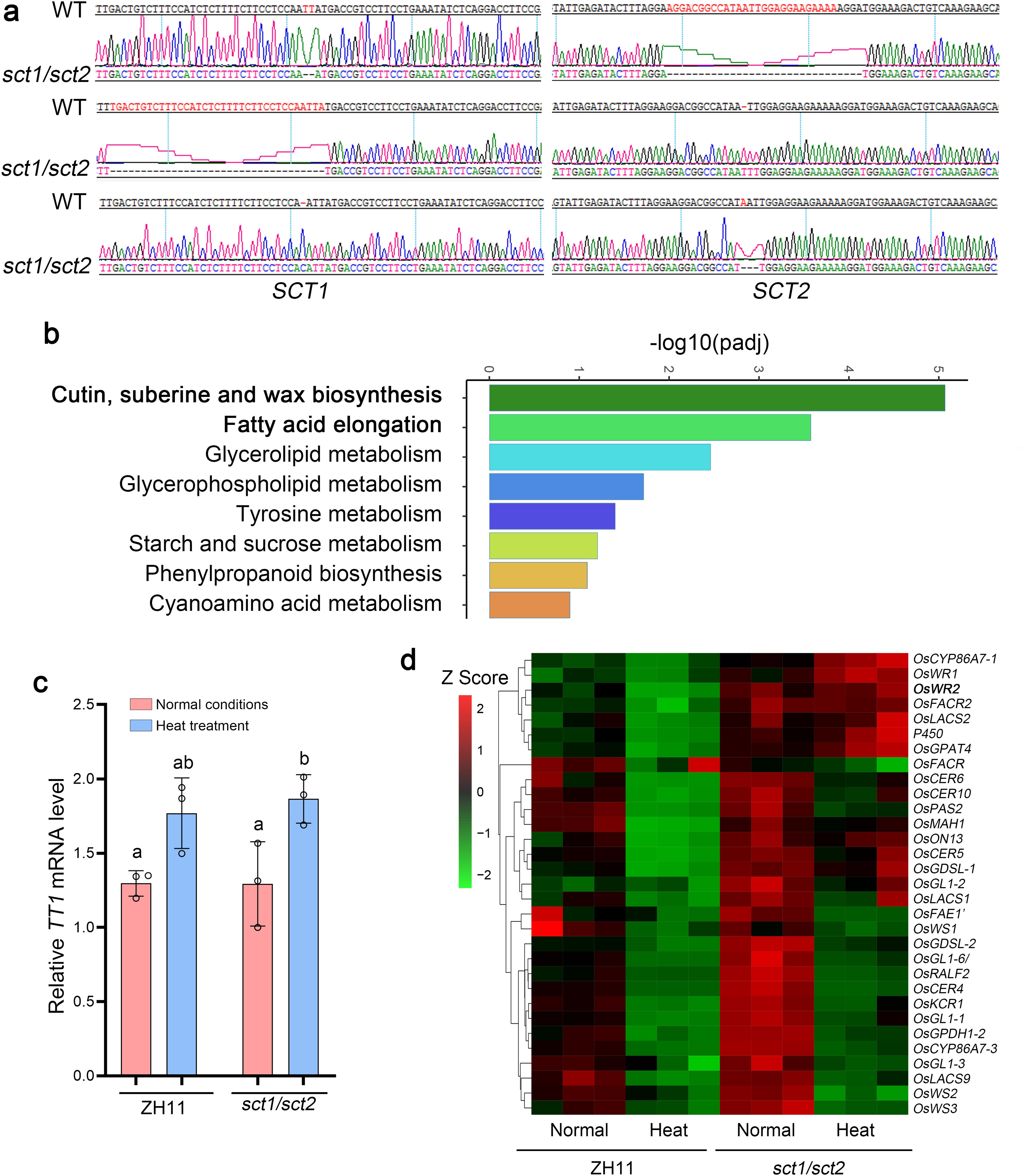 Extended Data Fig. 7