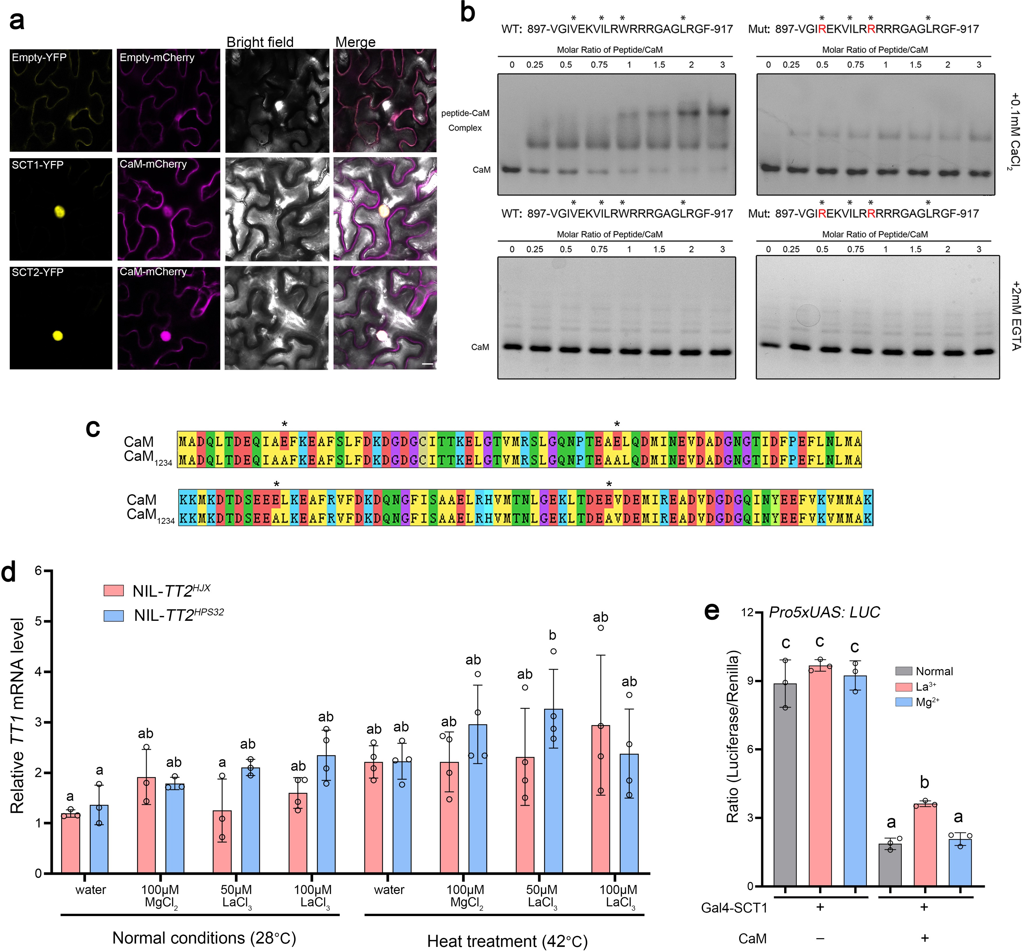 Extended Data Fig. 9