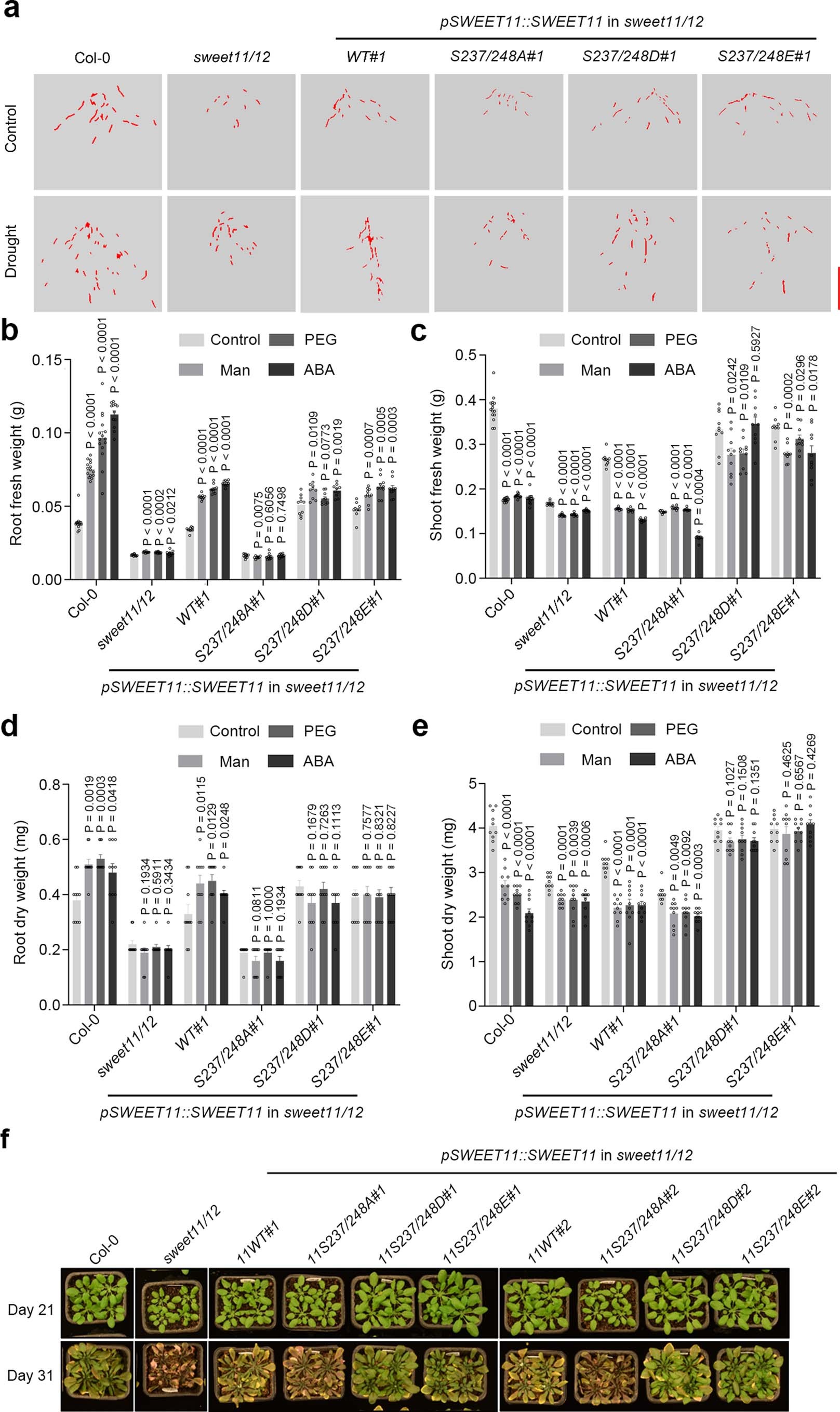 Extended Data Fig. 8
