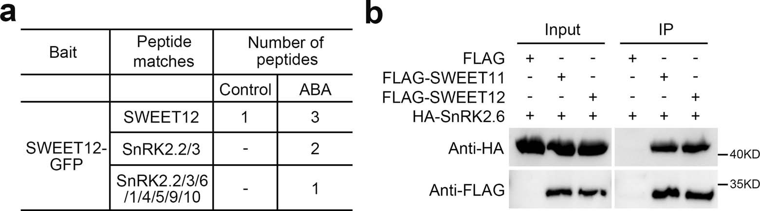 Extended Data Fig. 2