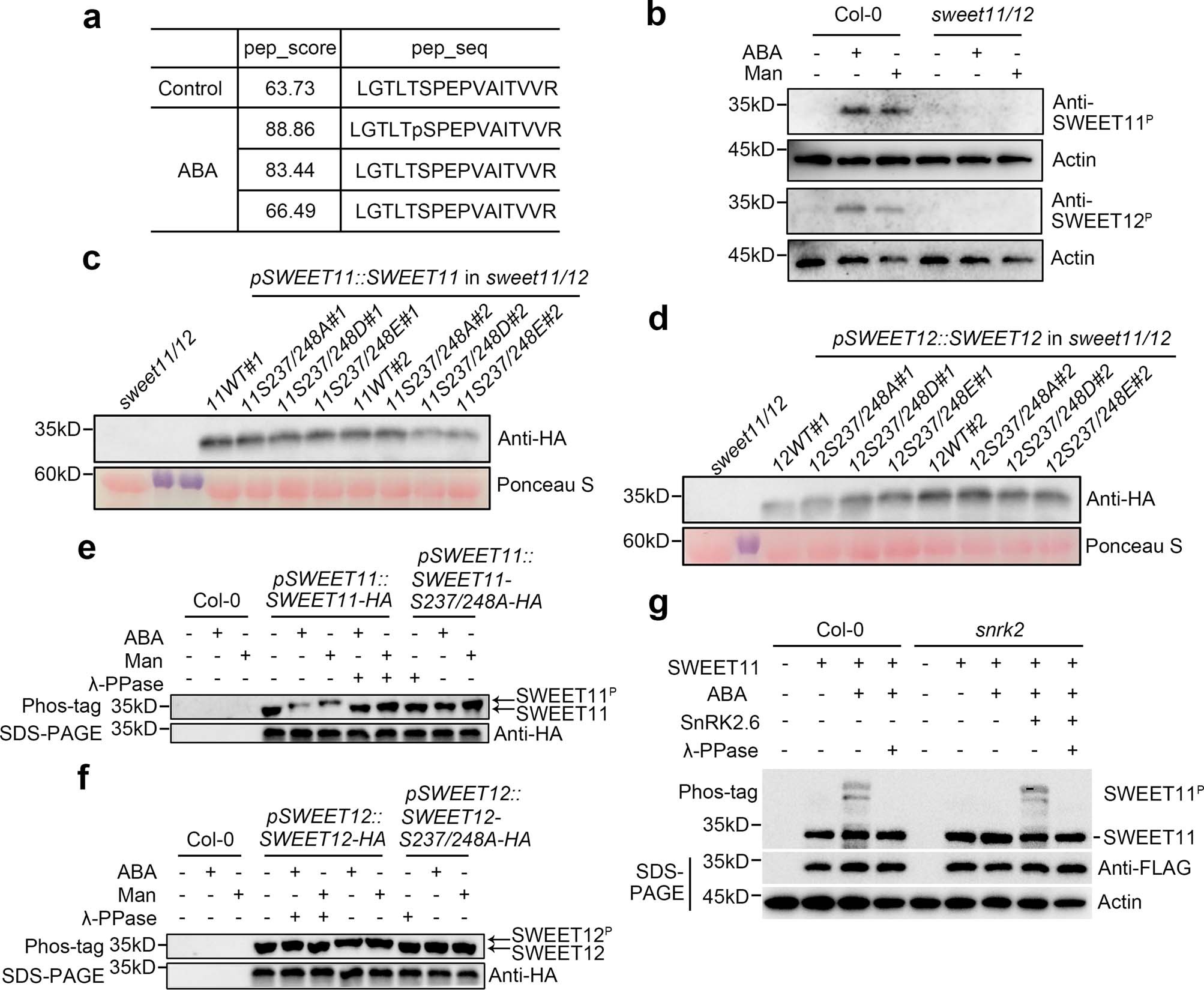 Extended Data Fig. 3
