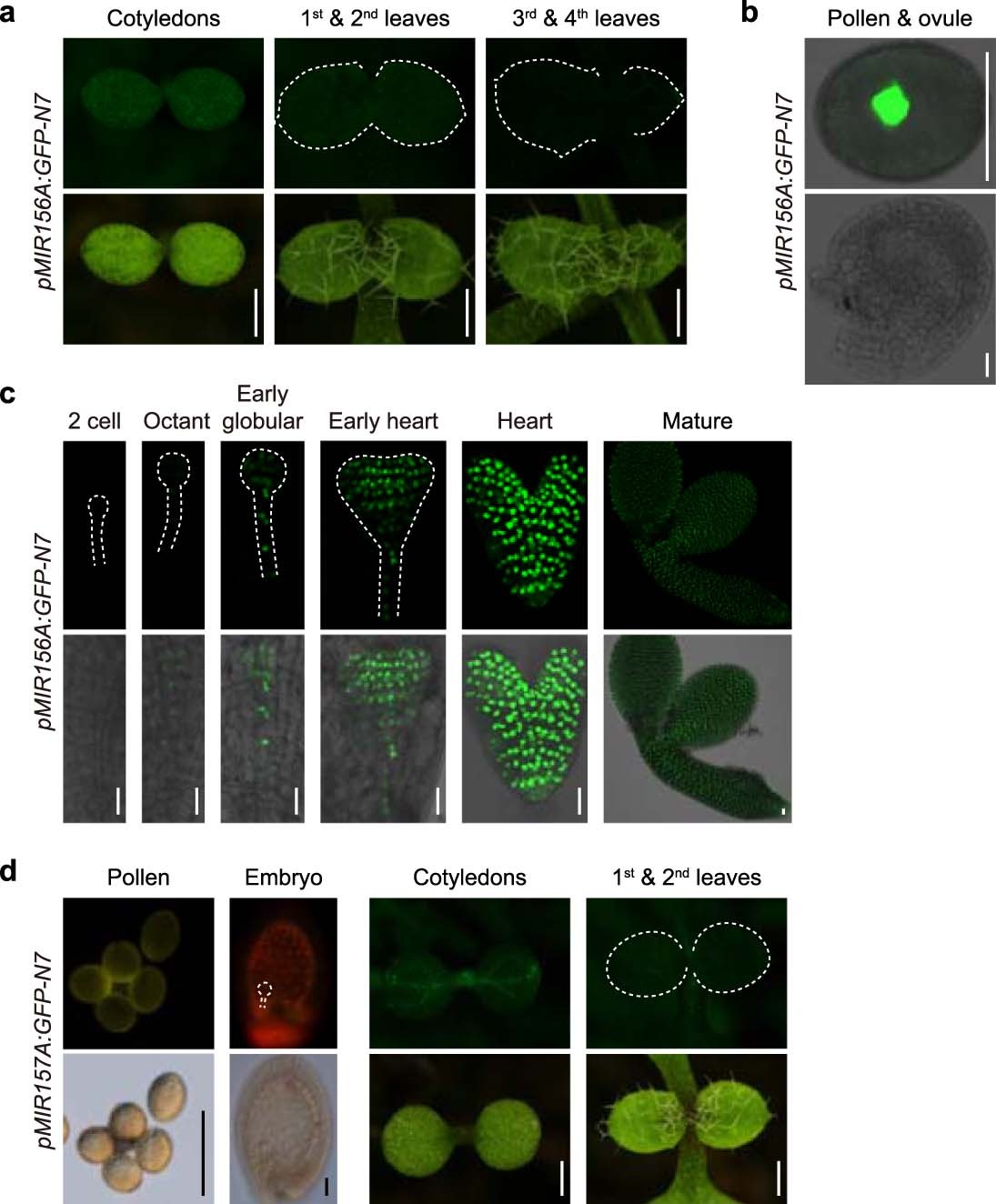 Extended Data Fig. 3