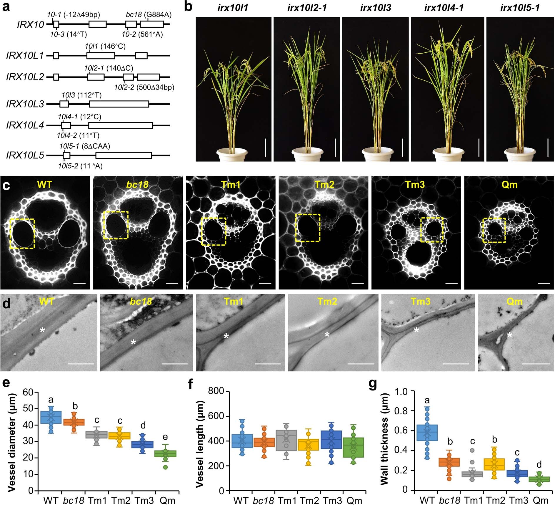 Extended Data Fig. 4