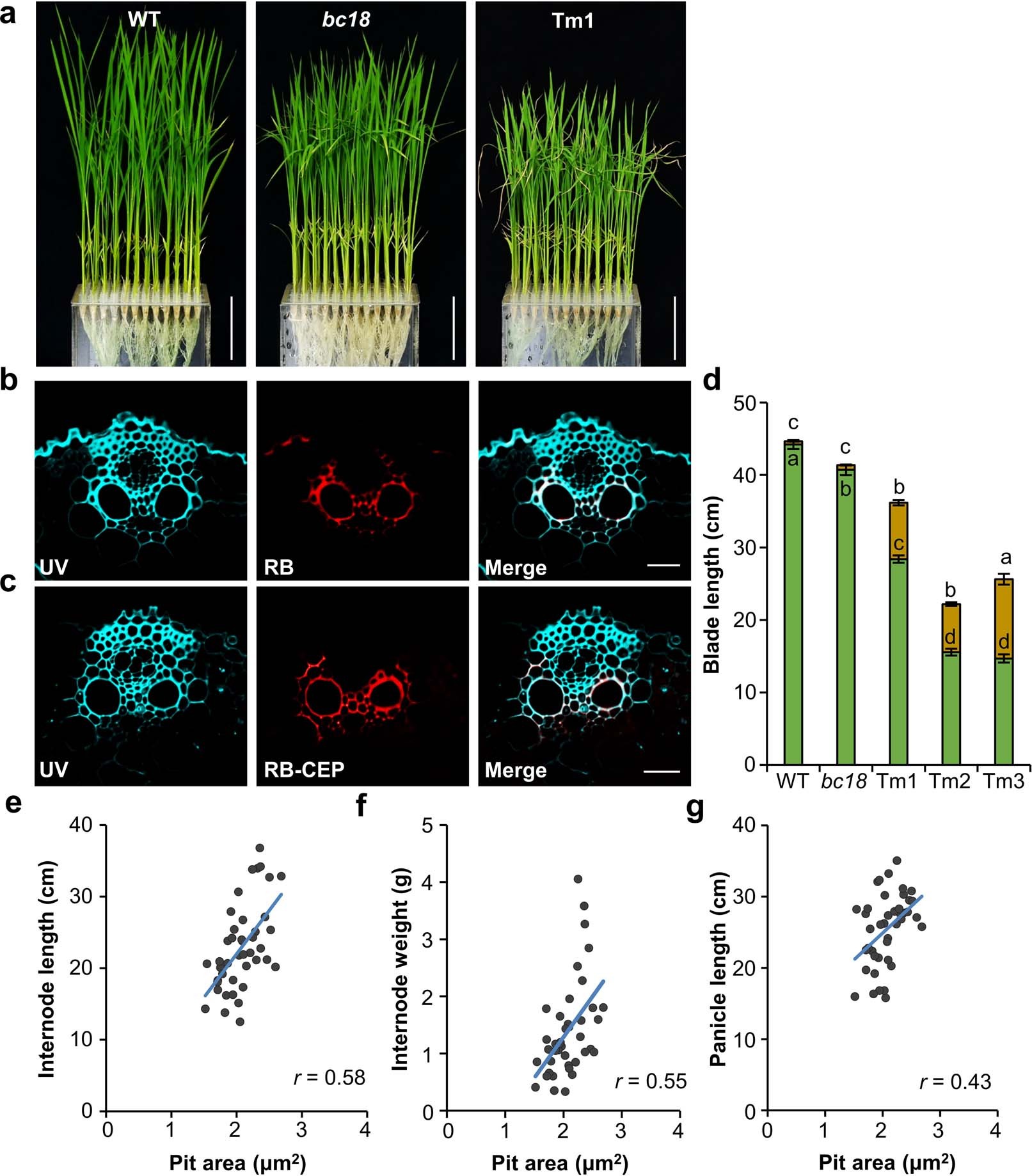 Extended Data Fig. 10