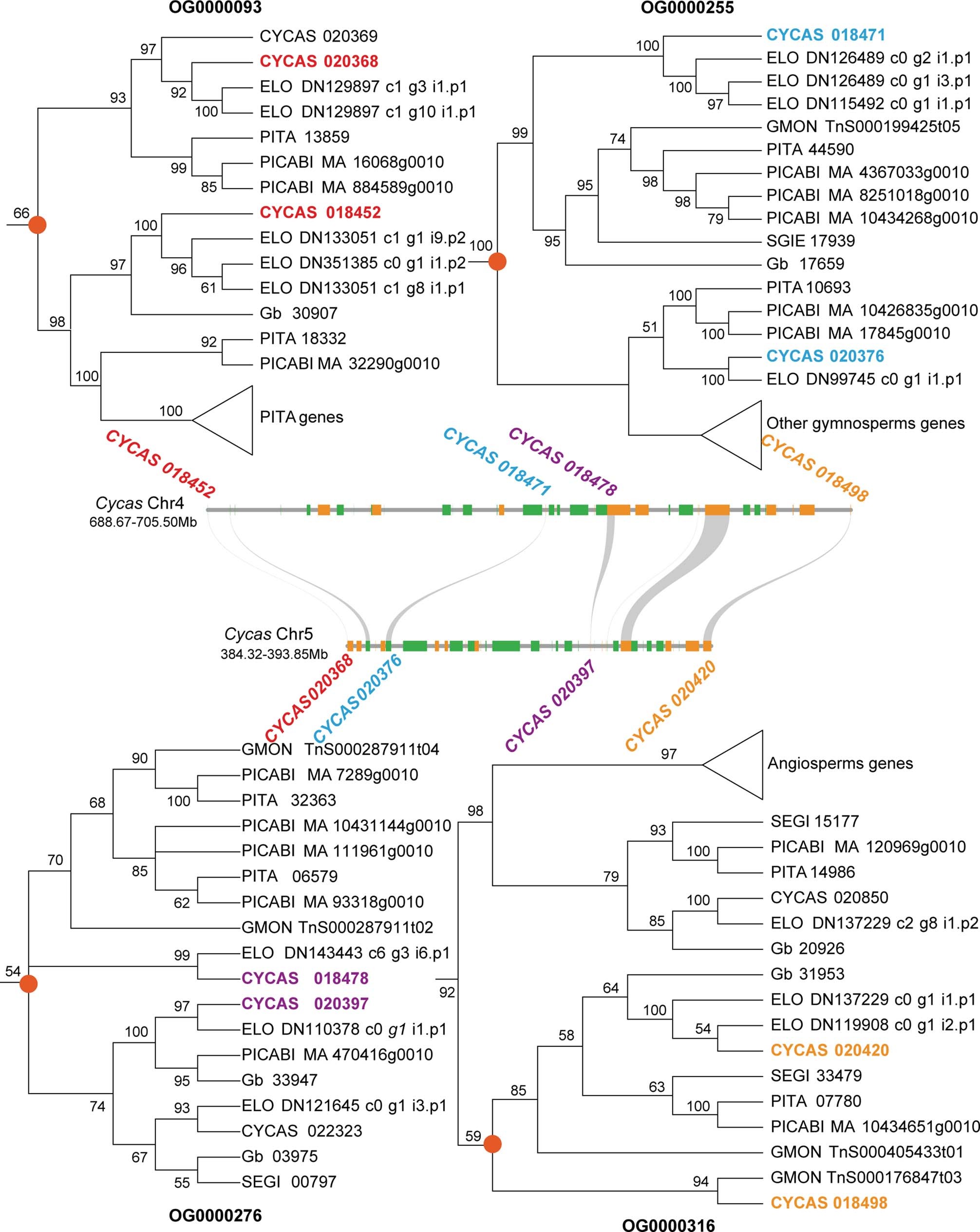Extended Data Fig. 4