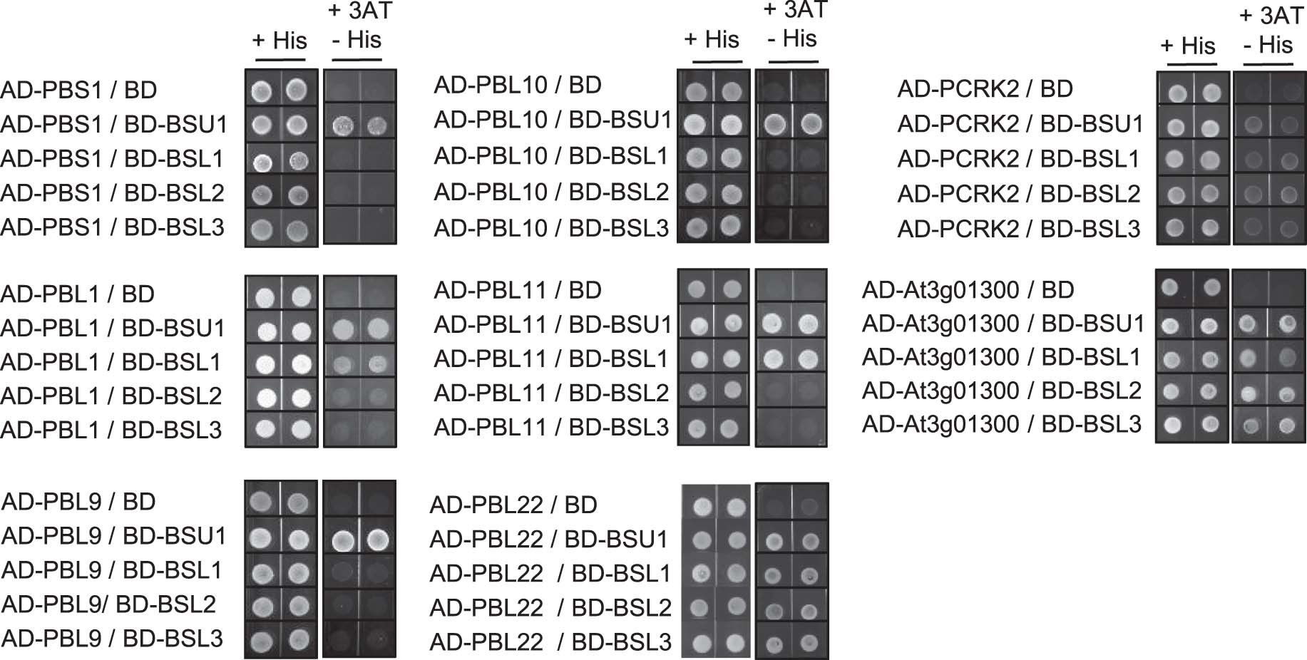 Extended Data Fig. 5