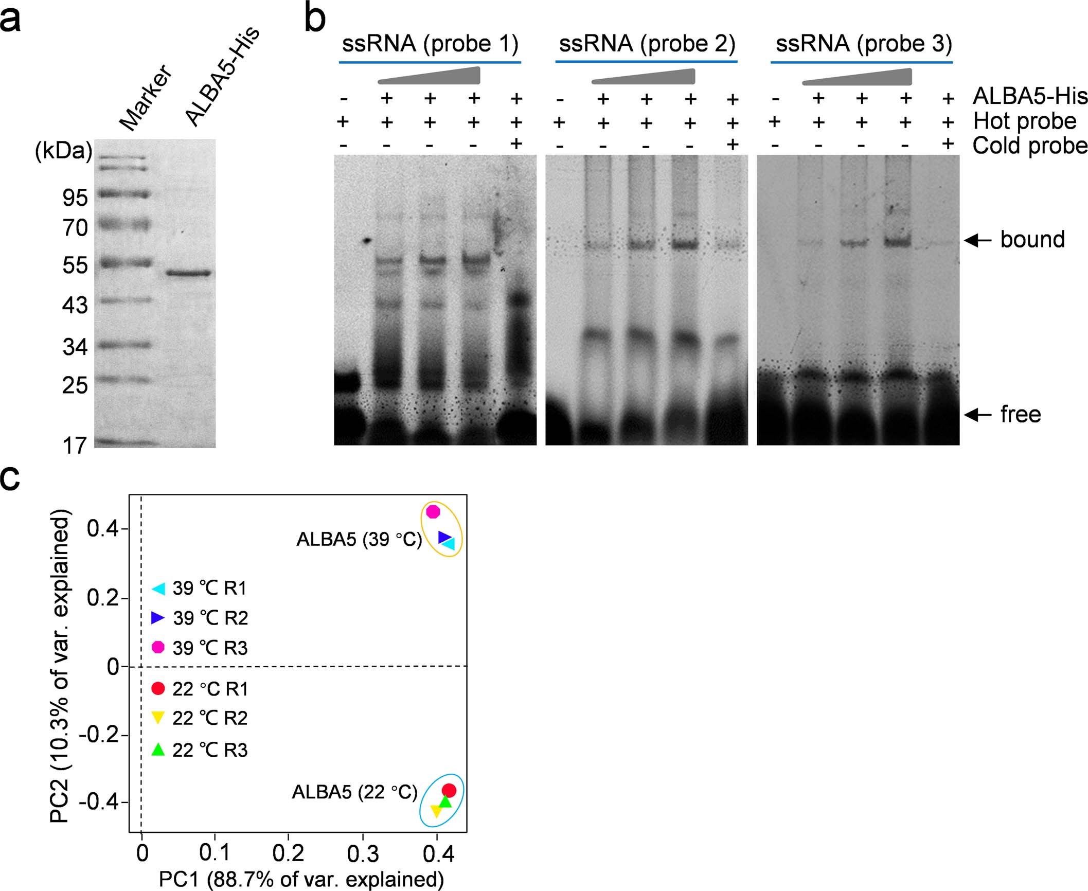 Extended Data Fig. 8
