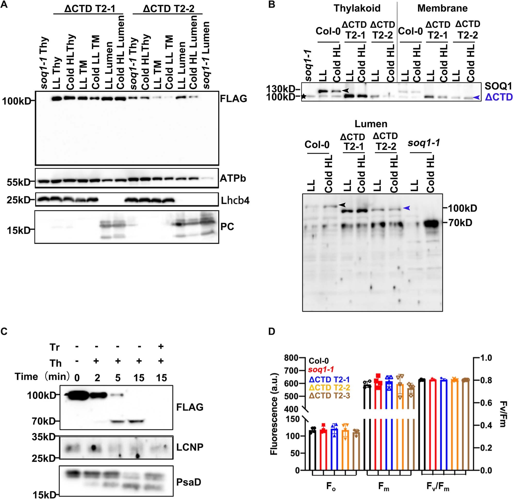 Extended Data Fig. 7