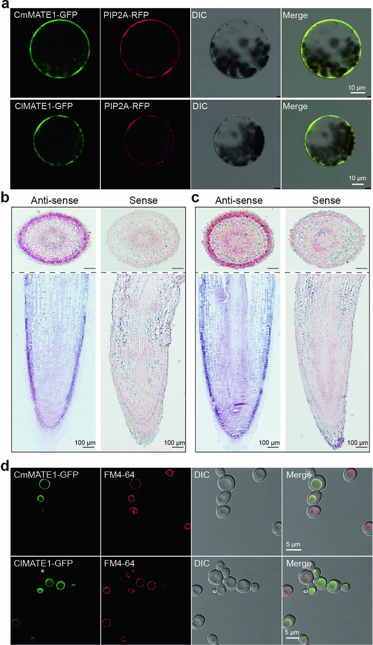 Extended Data Fig. 3