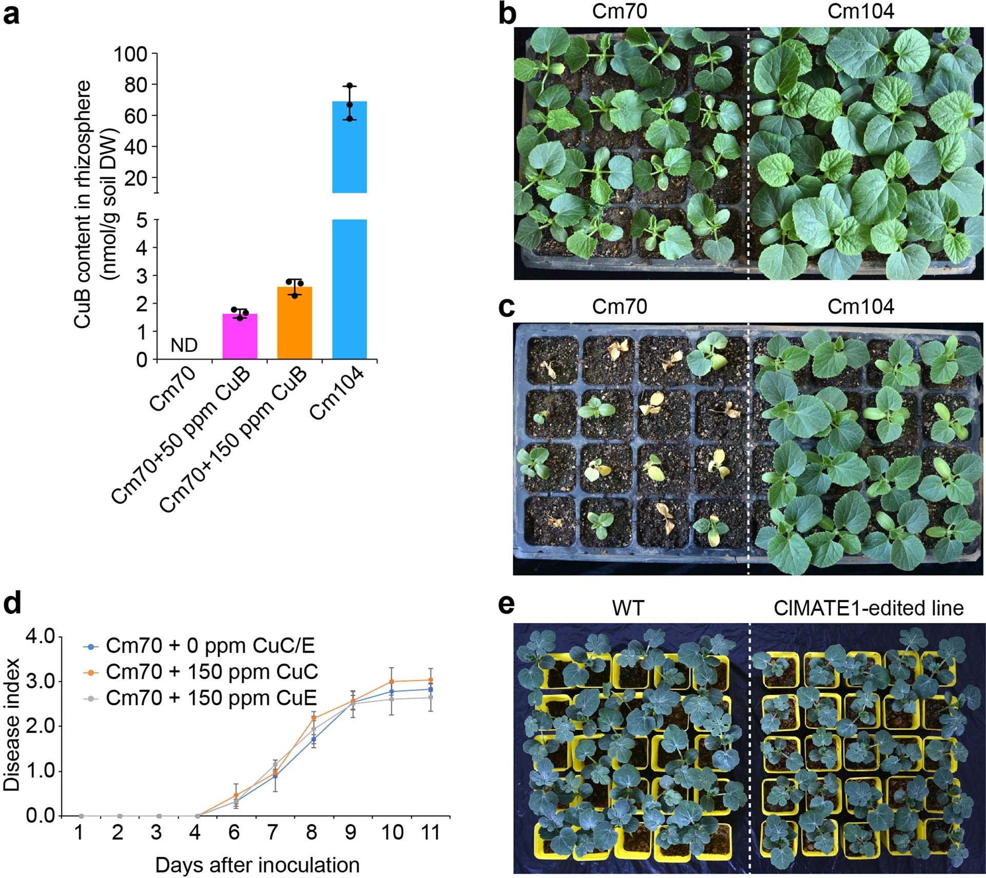 Extended Data Fig. 4