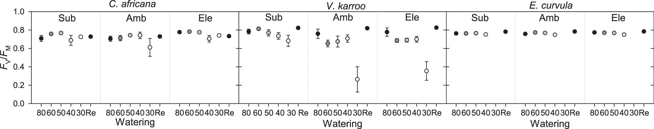 Extended Data Fig. 6: Photochemical integrity of photosystem II as indicated by FV/FM.