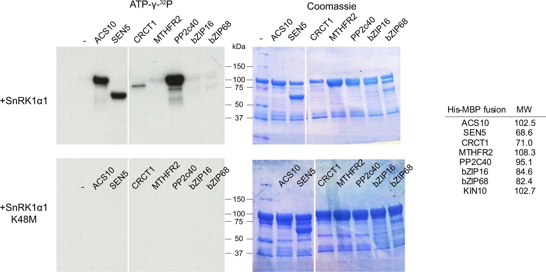 Extended Data Fig. 2