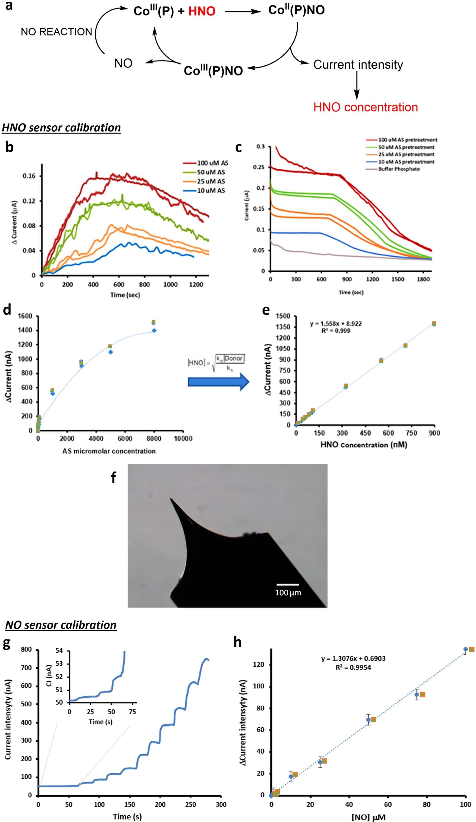 Extended Data Fig. 1