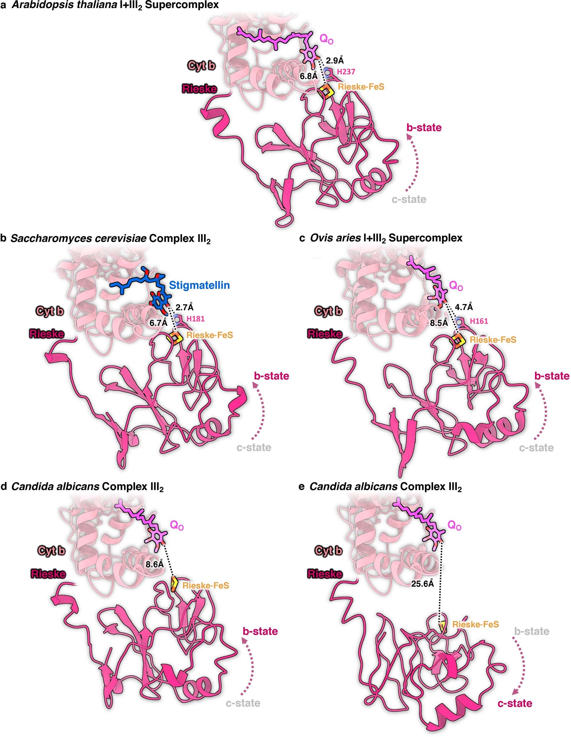 Extended Data Fig. 9