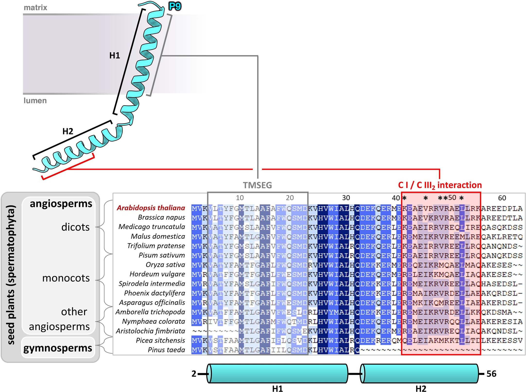 Extended Data Fig. 1