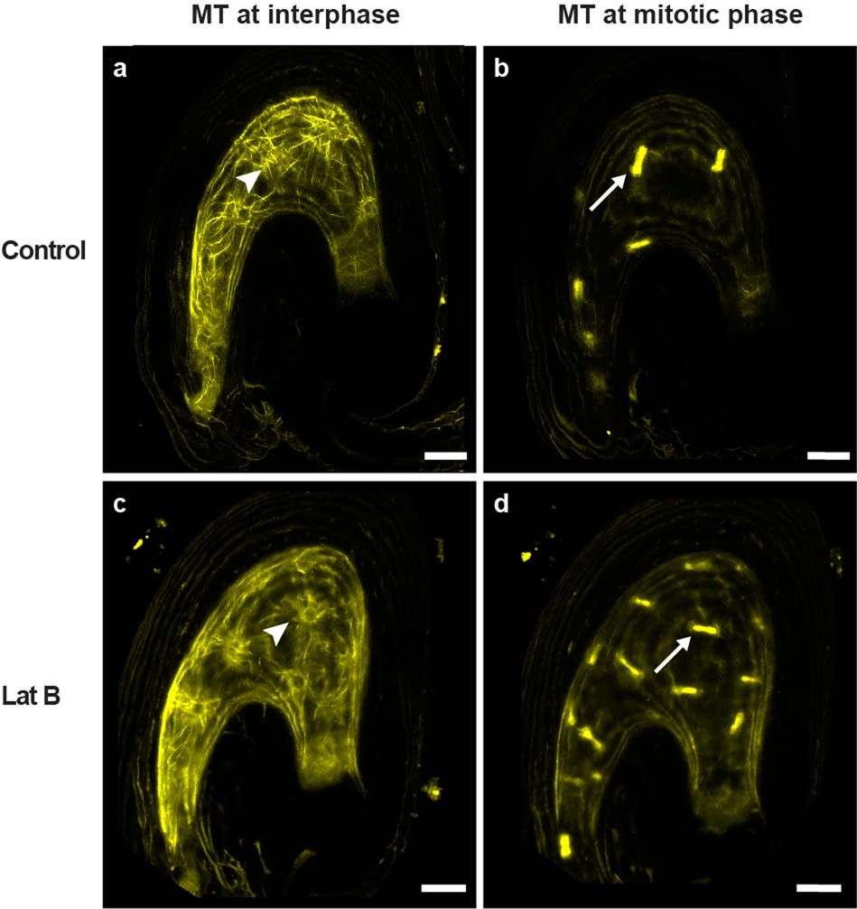 Extended Data Fig. 8
